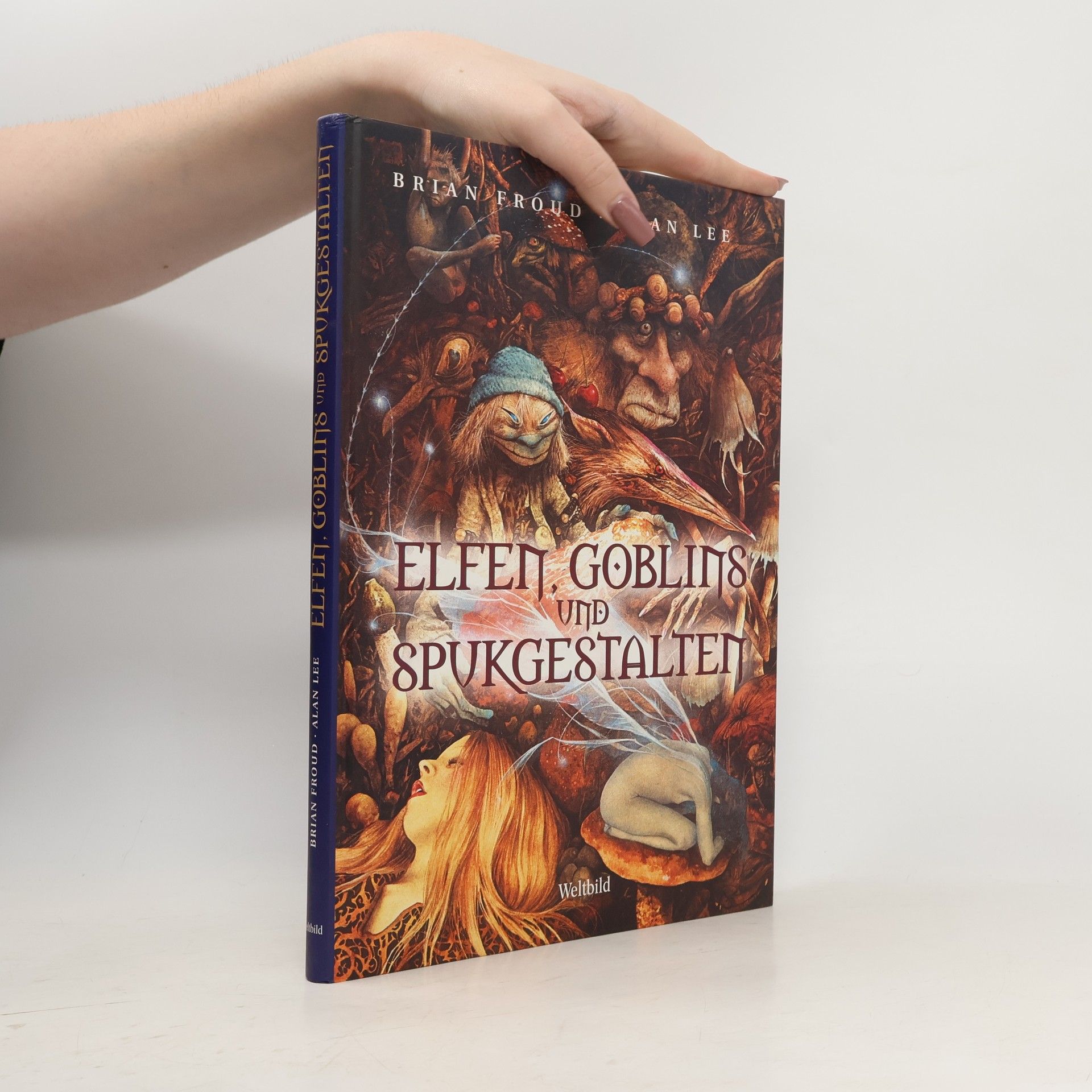 Brian Froud Elfen, Gobelins und Spukgestalten