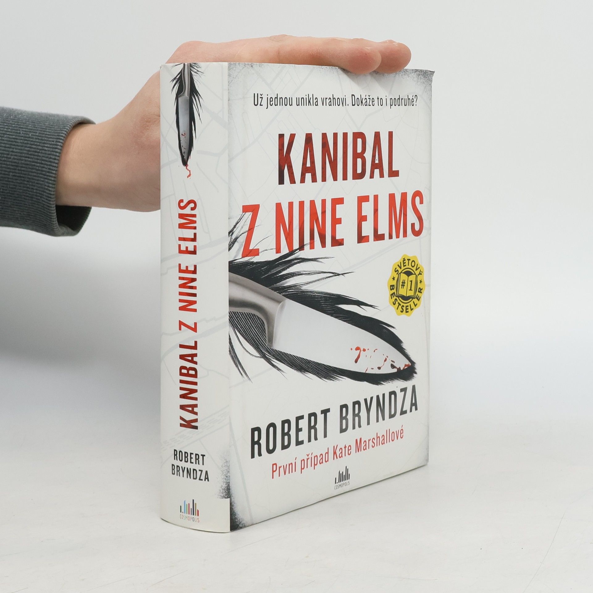 Robert Bryndza Kanibal z Nine Elms