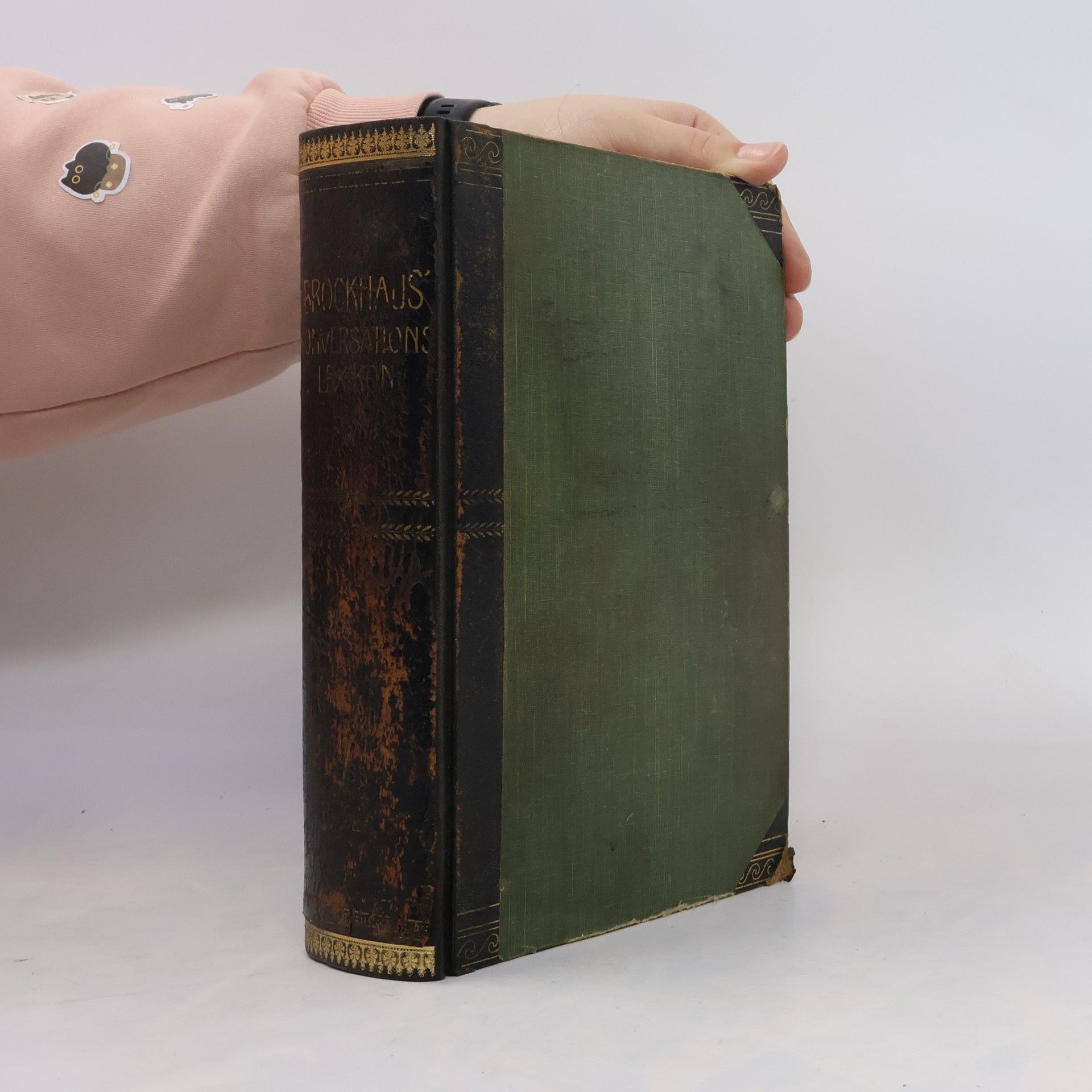 Various authors Brockhaus Konversations Lexikon 13