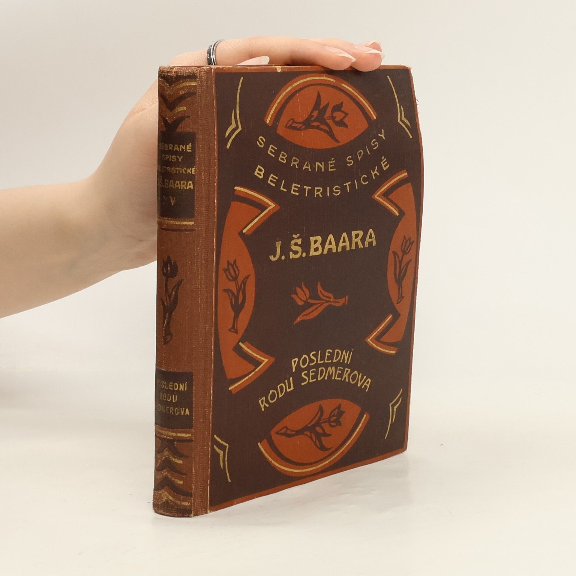 Jindřich Šimon Baar Poslední rodu Sedmerova