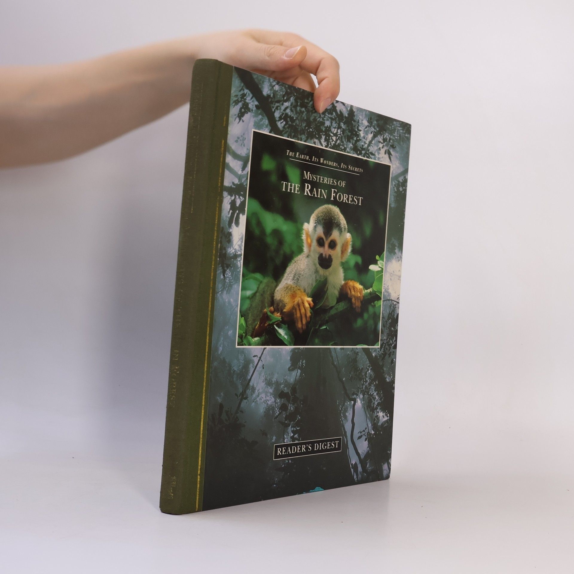 Linda Gamlin Mysteries of the Rain Forest