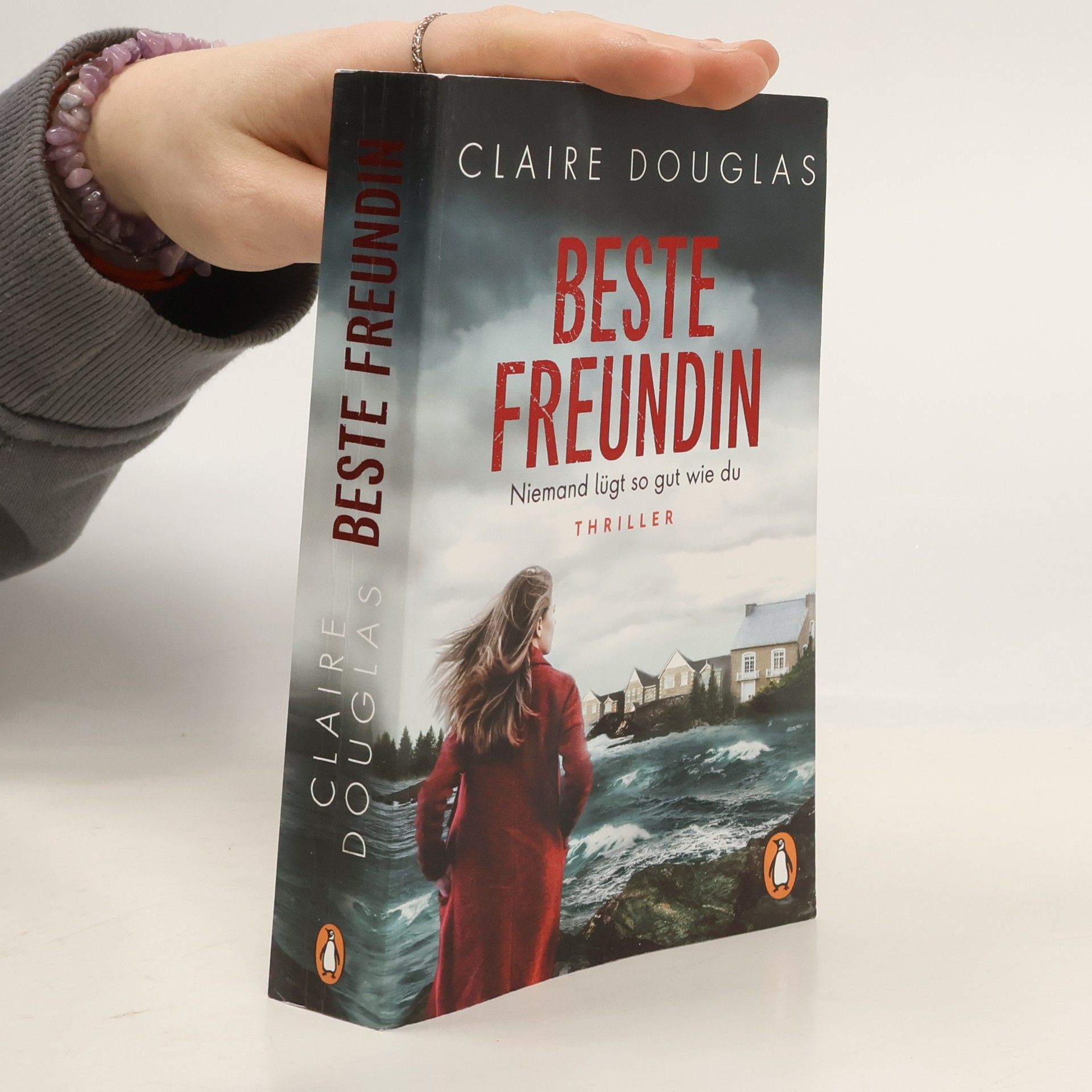 Claire Douglas Beste Freundin. Niemand lügt so gut wie du