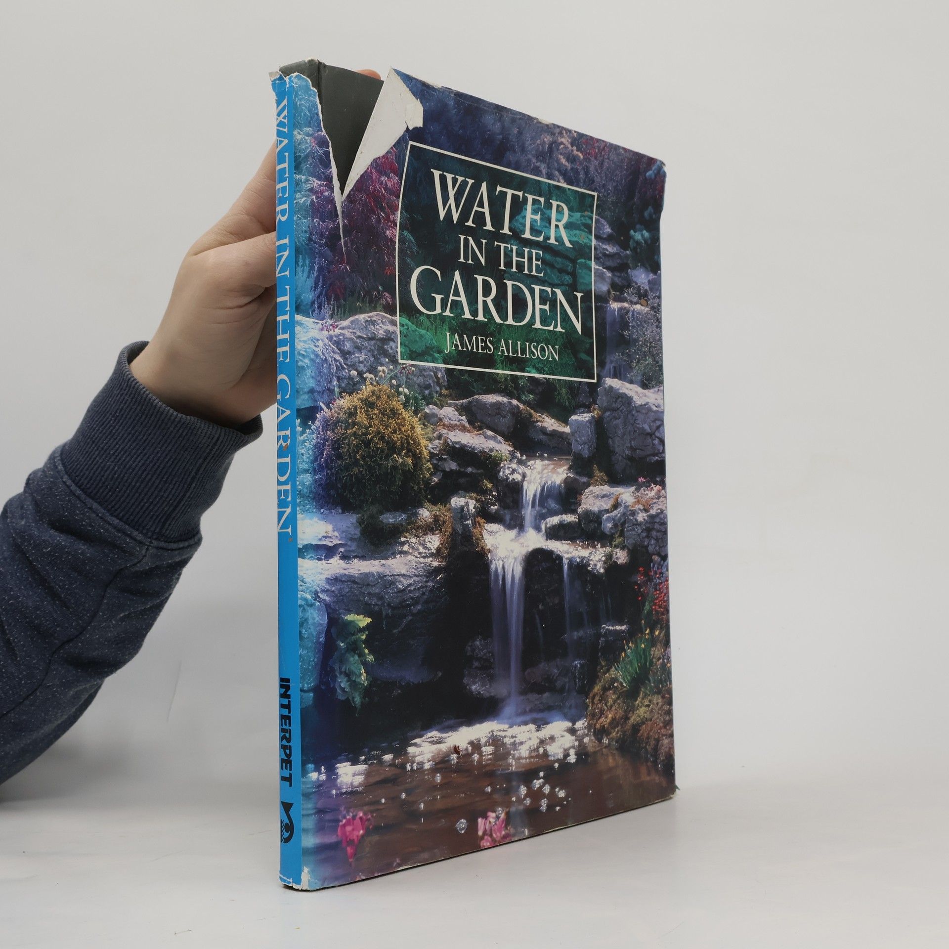 James Allison Water in the Garden