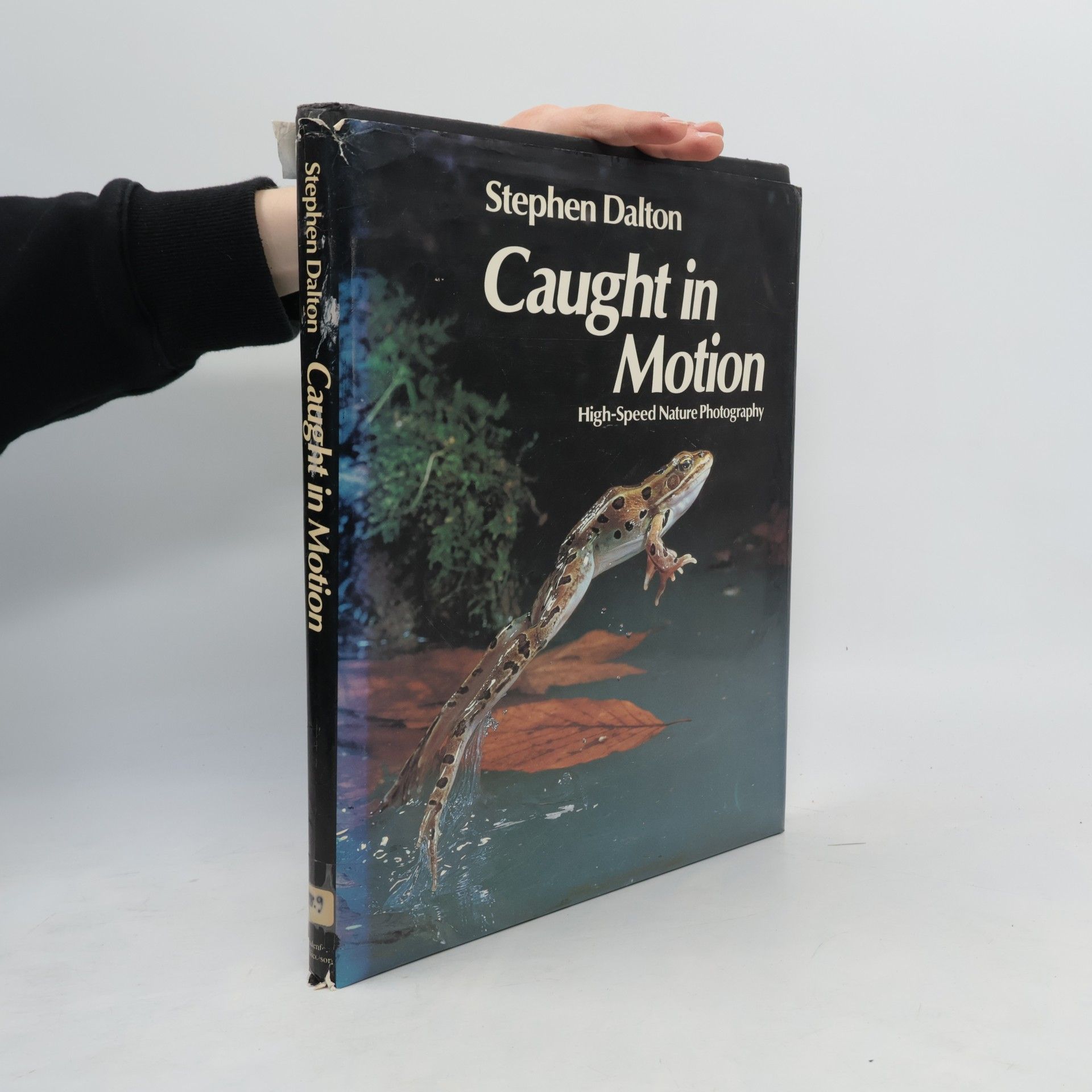 Stephen Dalton Caught in Motion