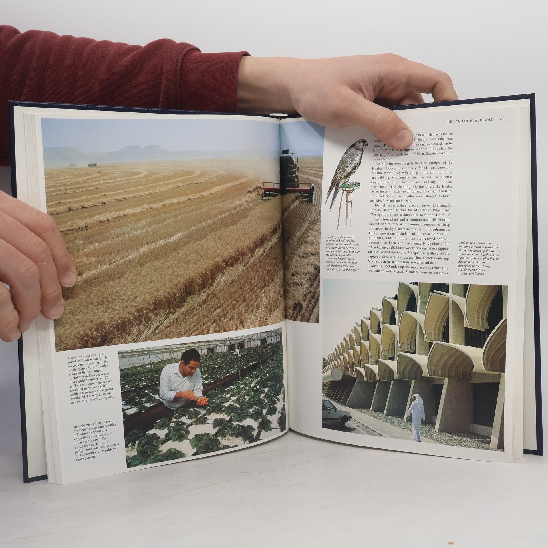 Autorenkollektiv In Search of the Middle East