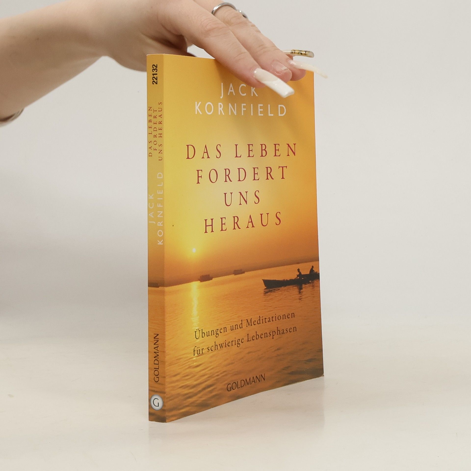 Jack Kornfield Das Leben fordert uns heraus