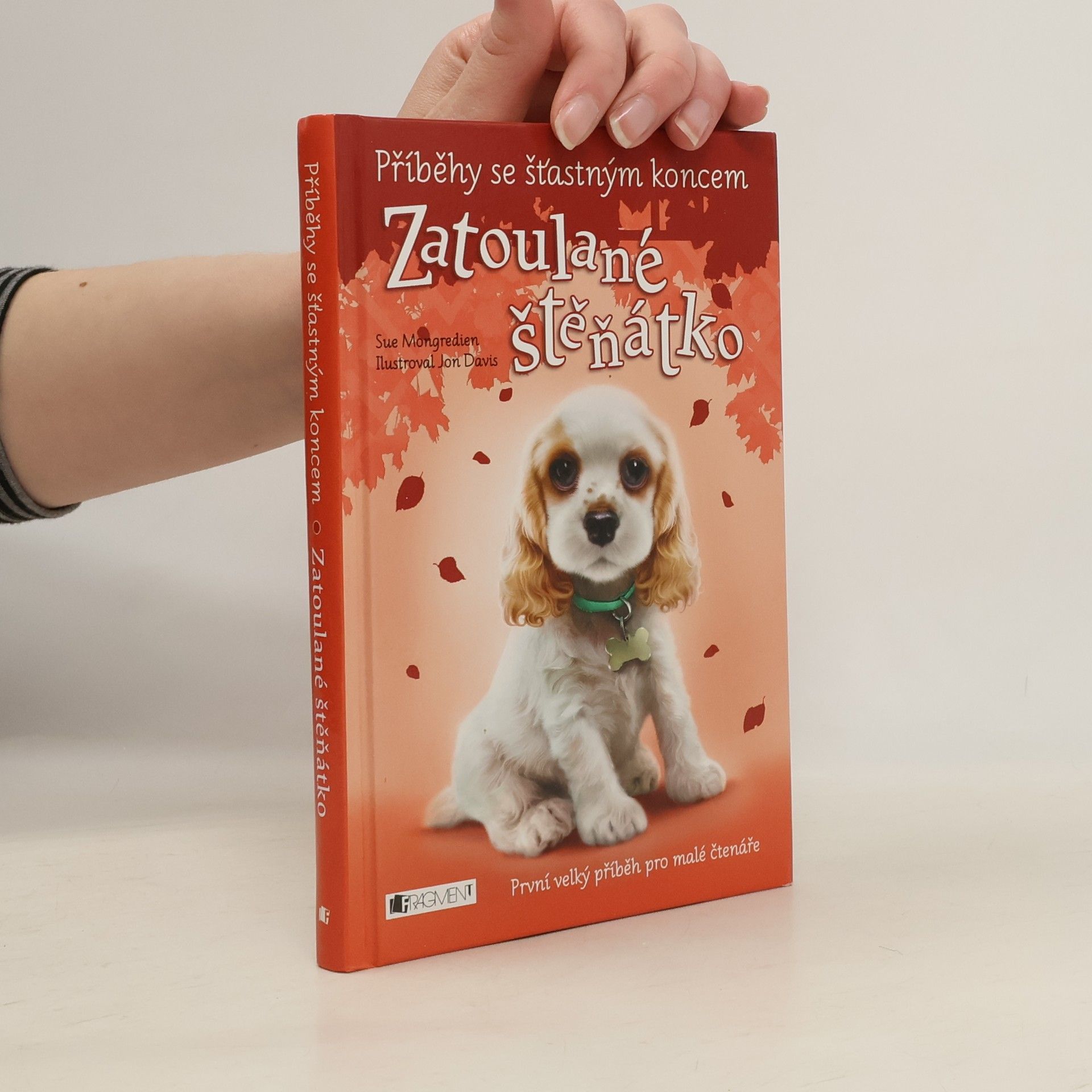 Lucy Diamond Zatoulané štěňátko