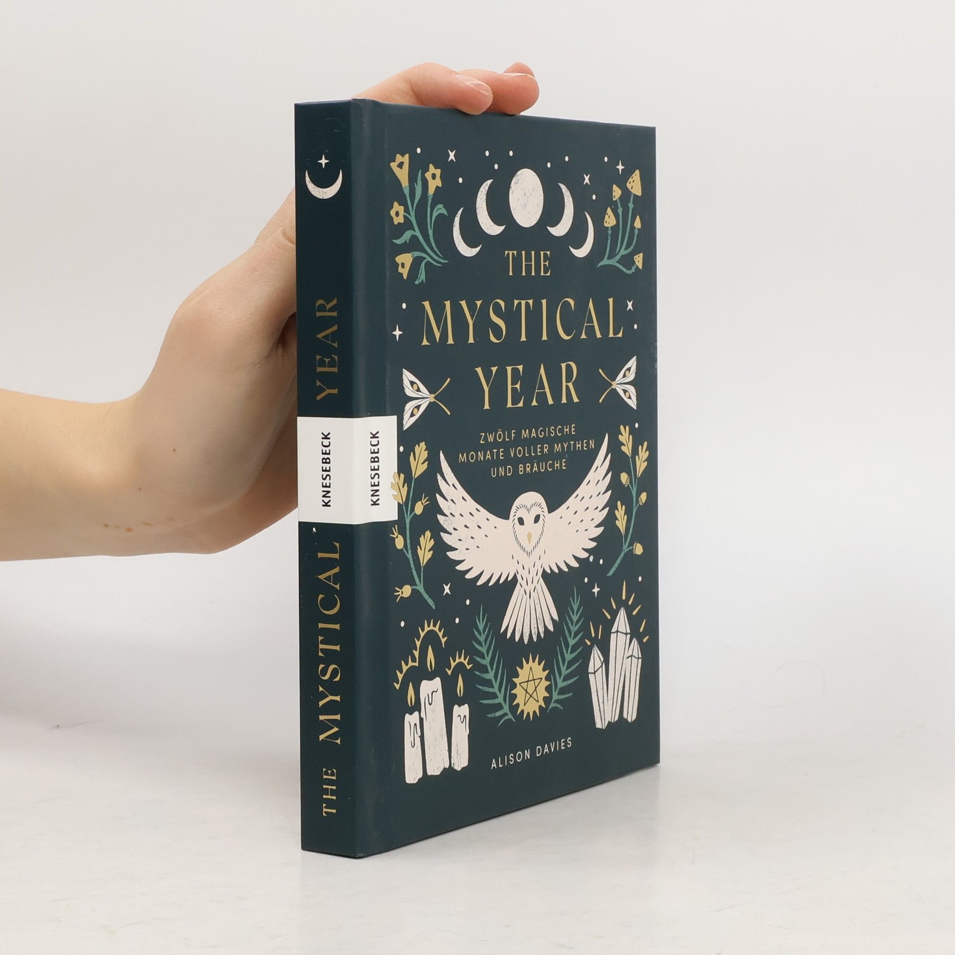 Alison Davies The Mystical Year