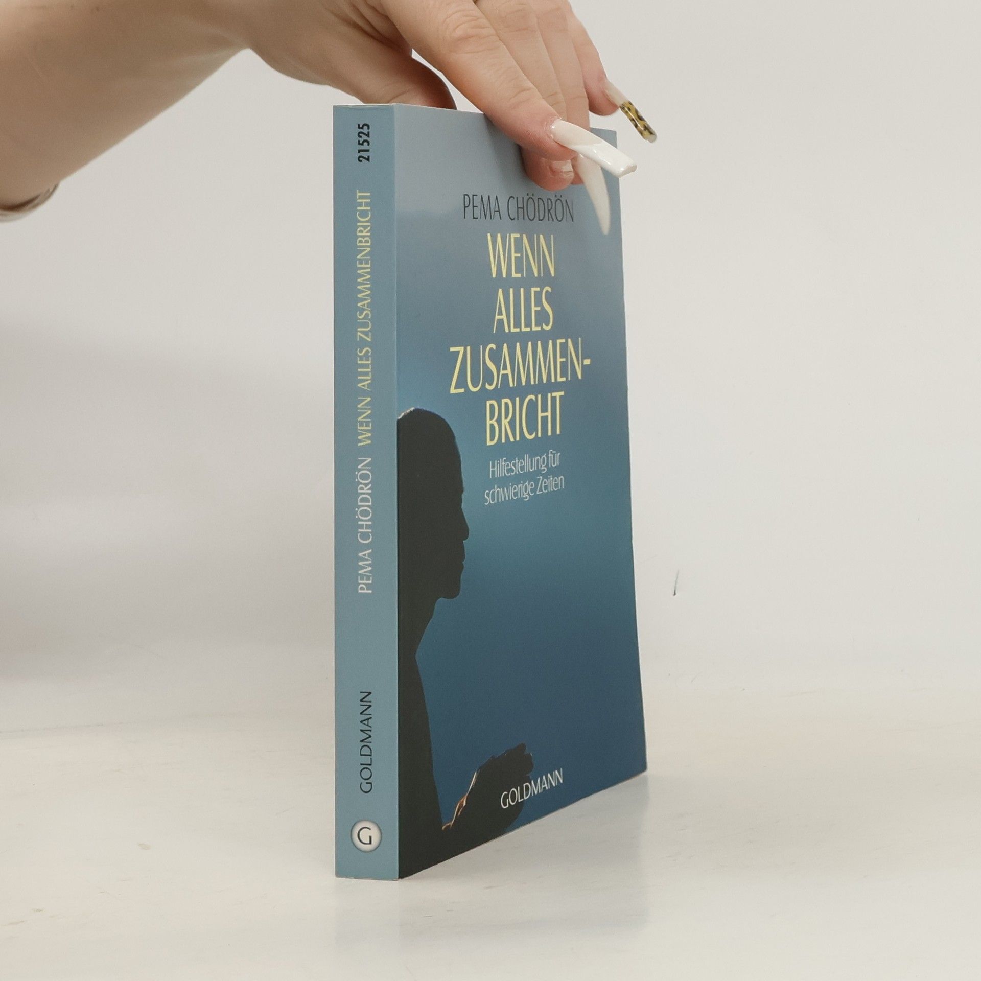 Pema Chödrön Wenn alles zusammenbricht