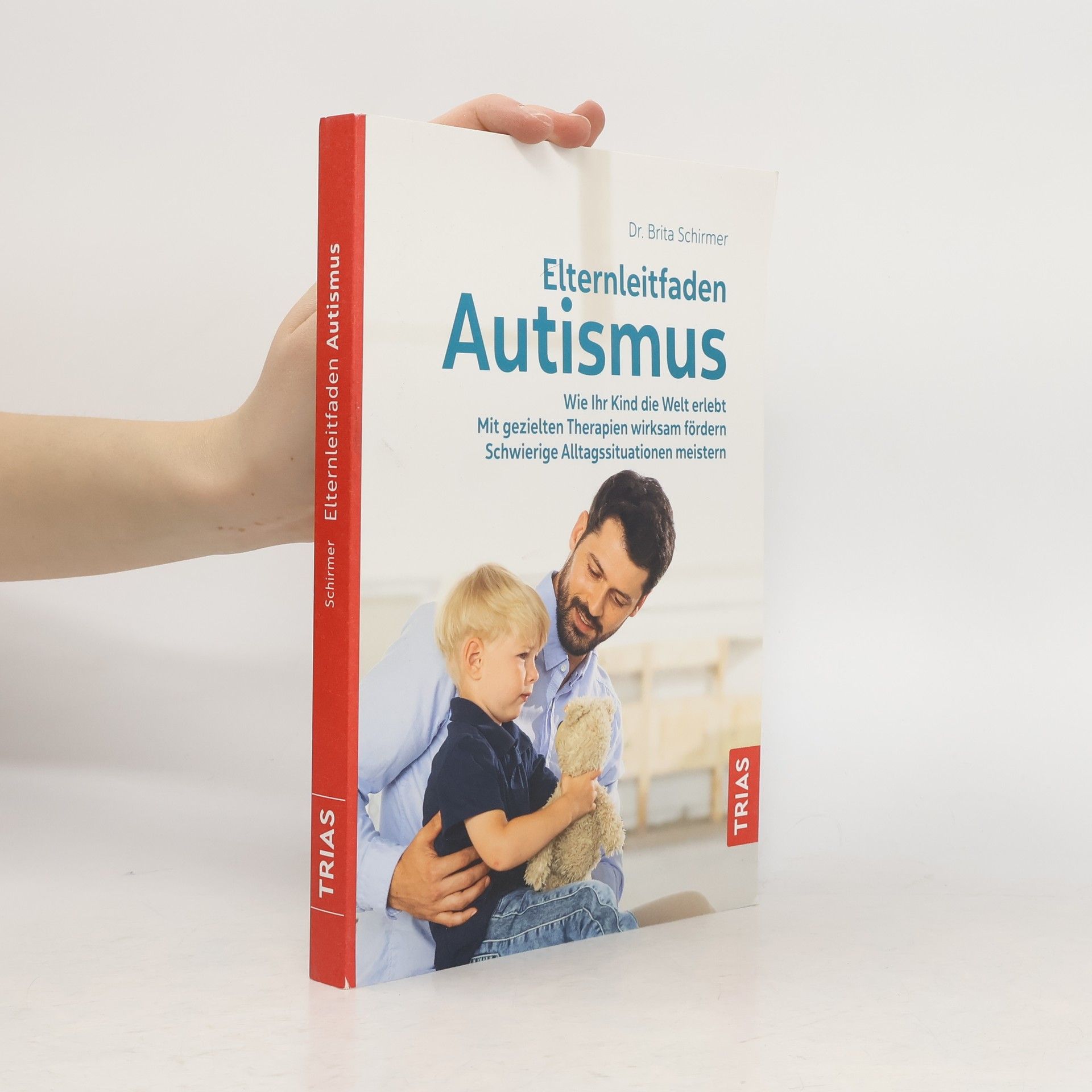 Brita Schirmer Elternleitfaden Autismus