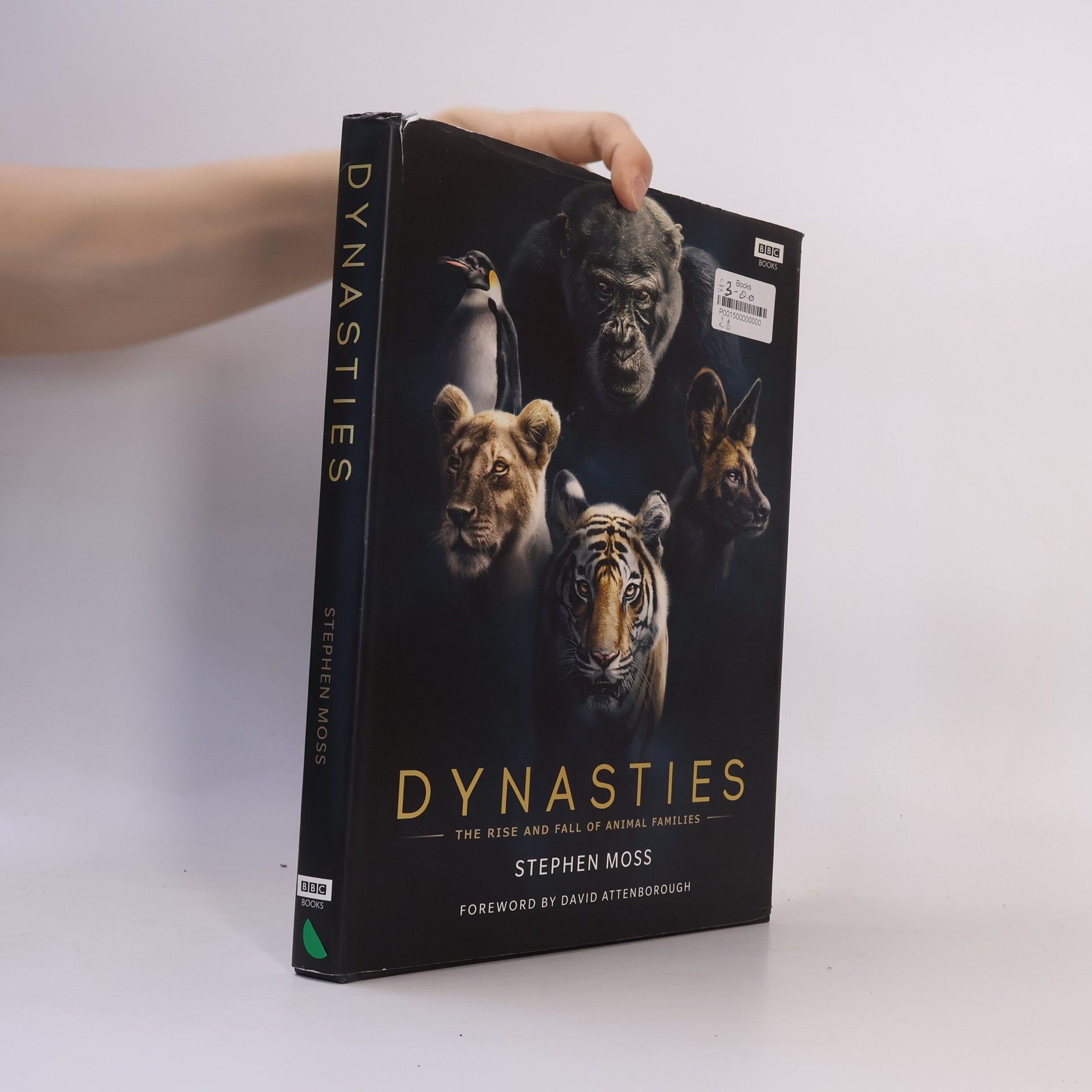Stephen Moss Dynasties