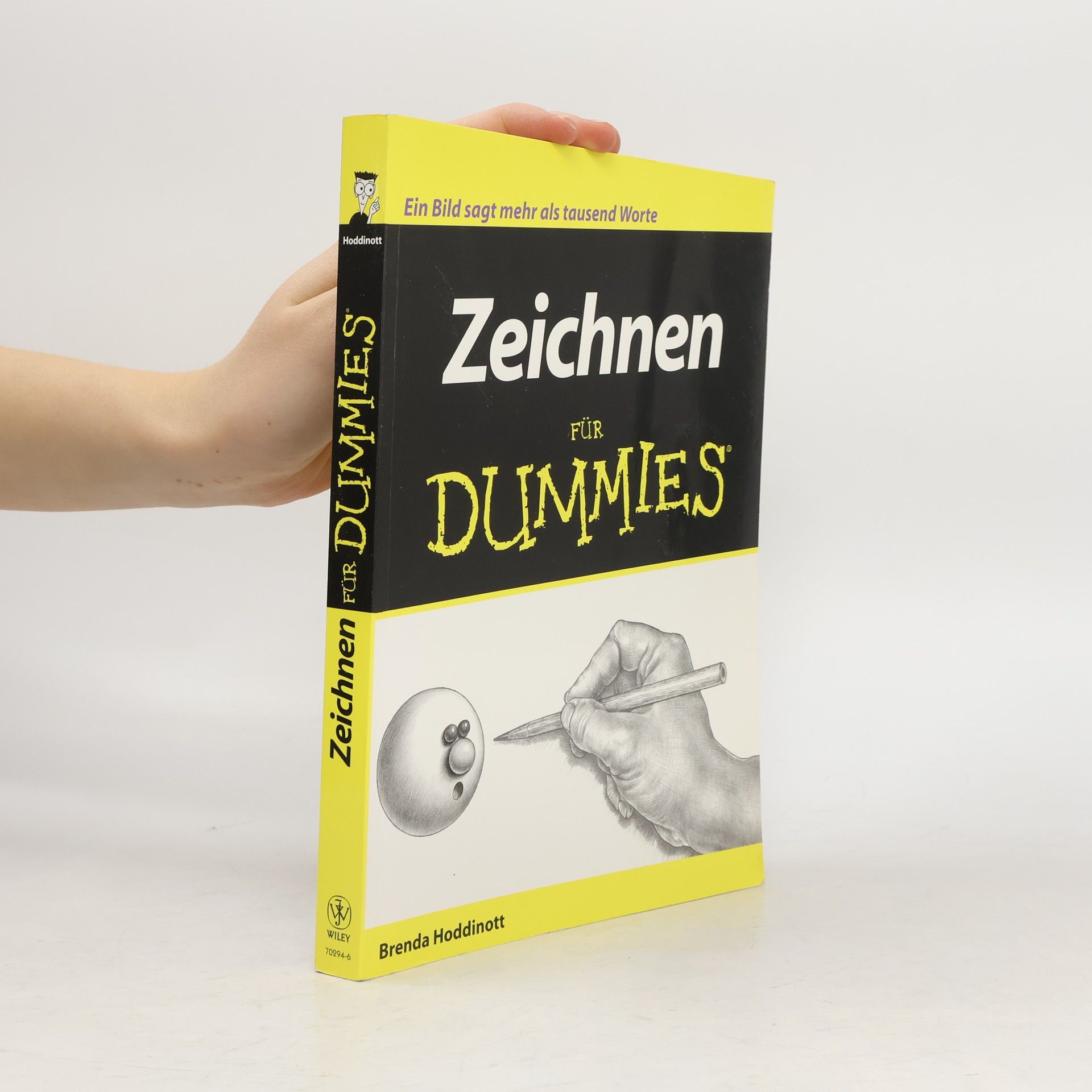 Brenda Hoddinott Zeichnen Für Dummies