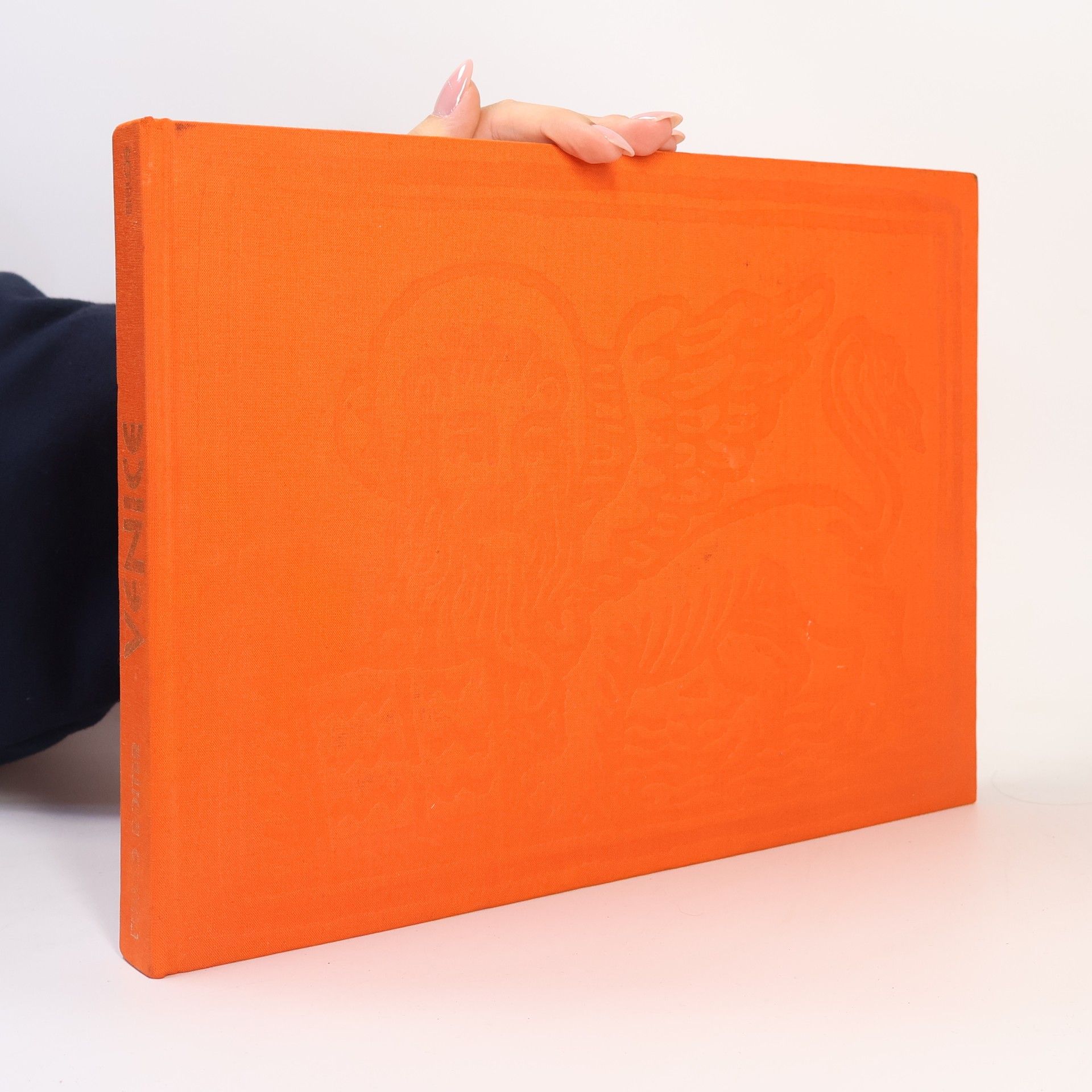 Fulvio Roiter Venice