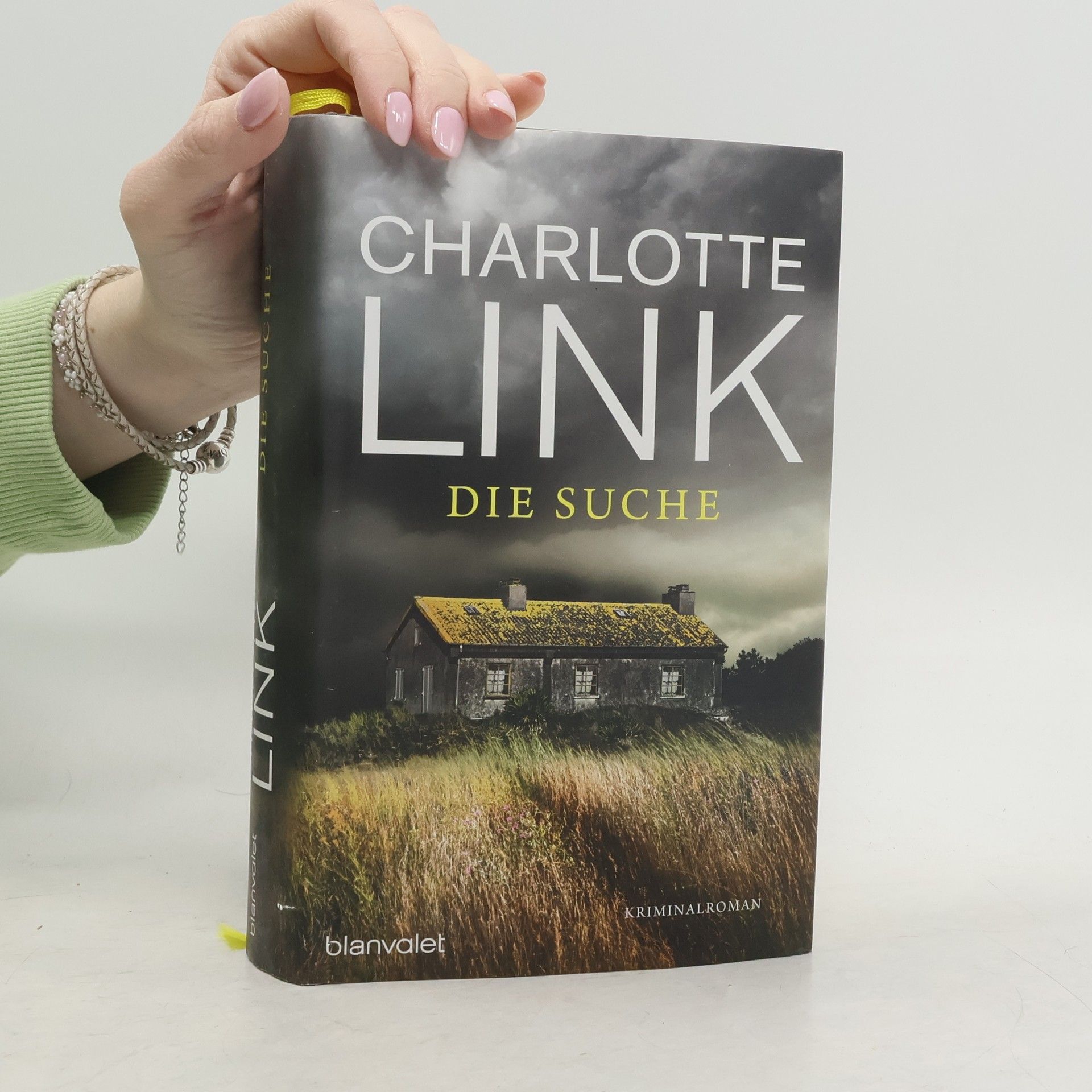 Charlotte Link Die Suche