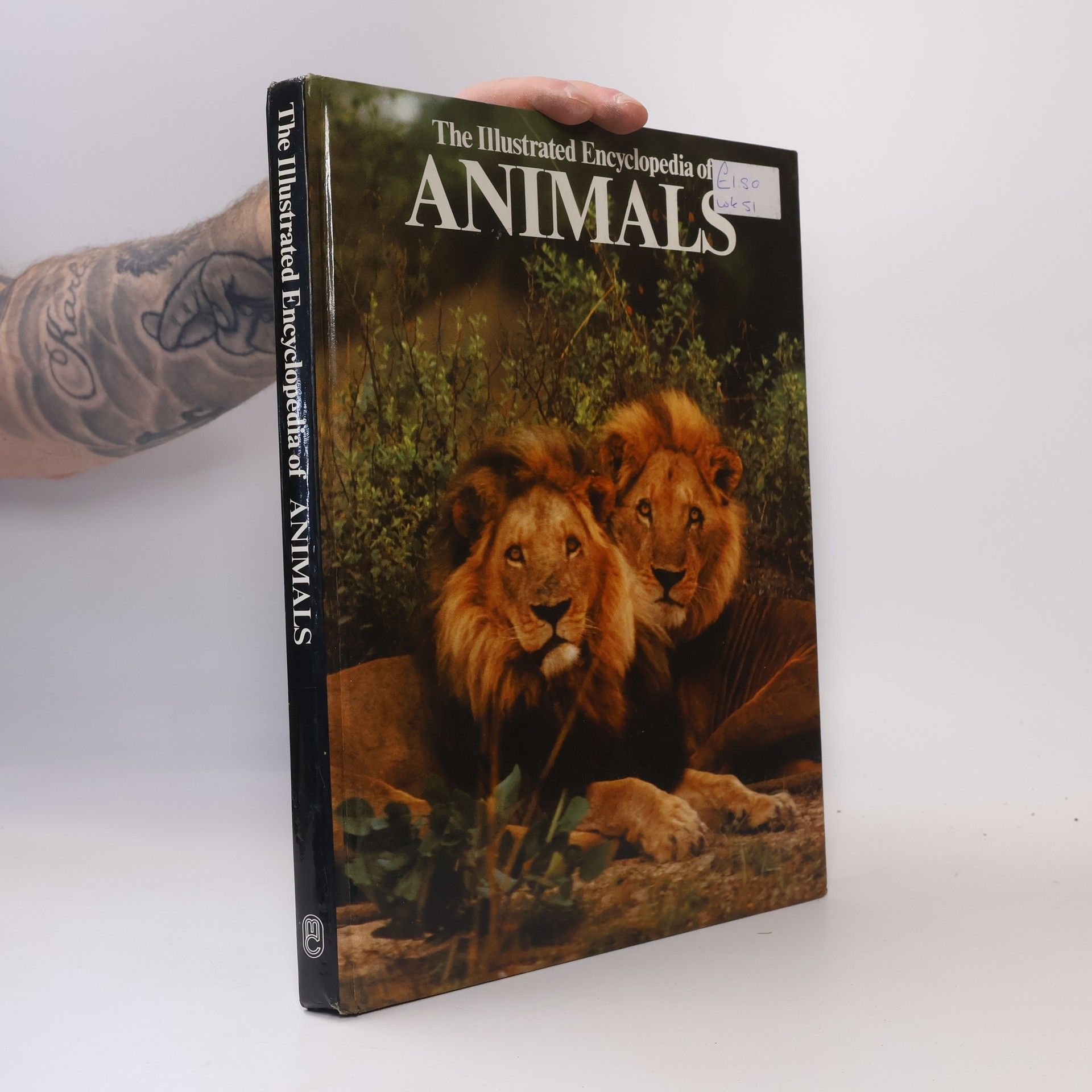 Autorenkollektiv The Illustrated Encyclopedia of Animals