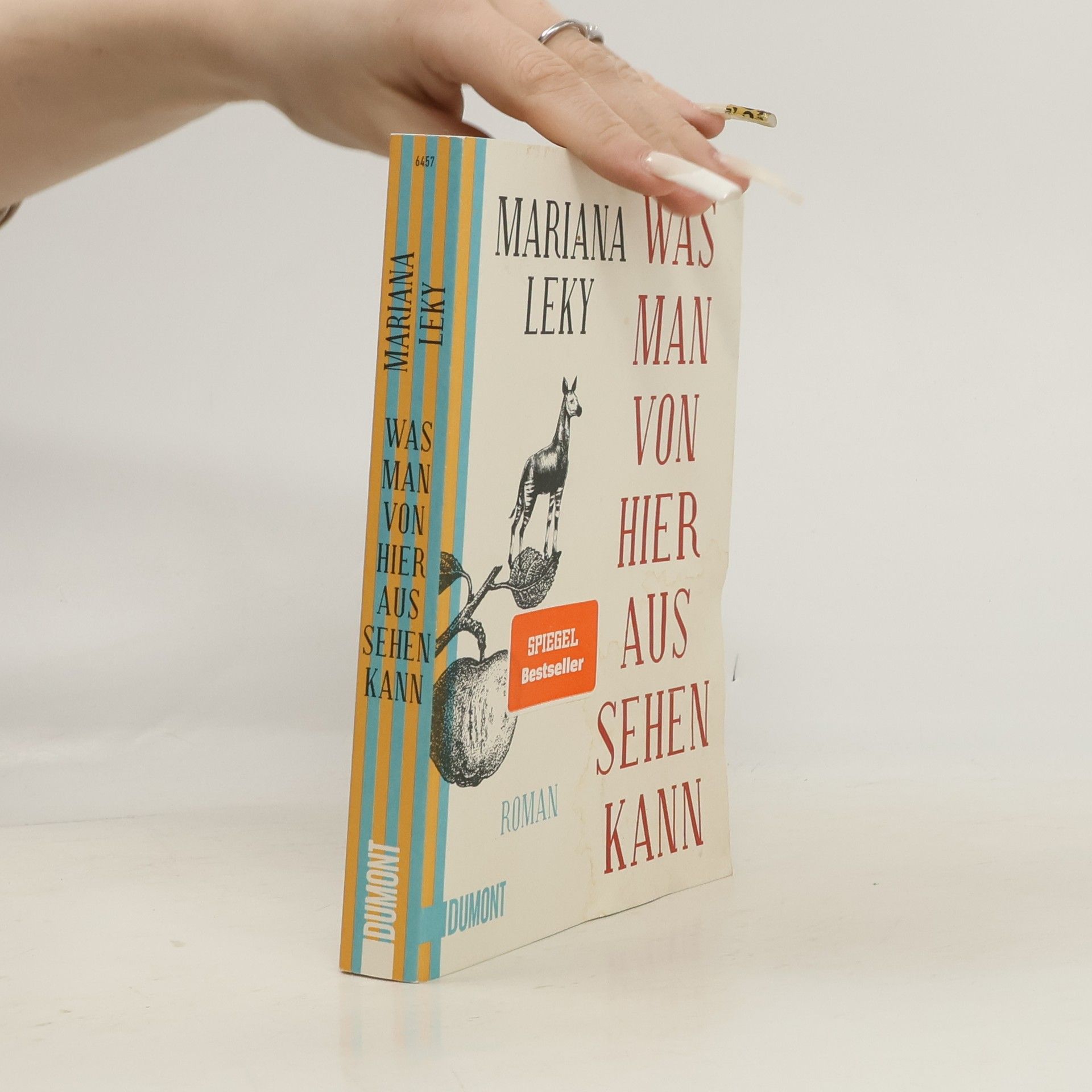 Mariana Leky Was man von hier aus sehen kann