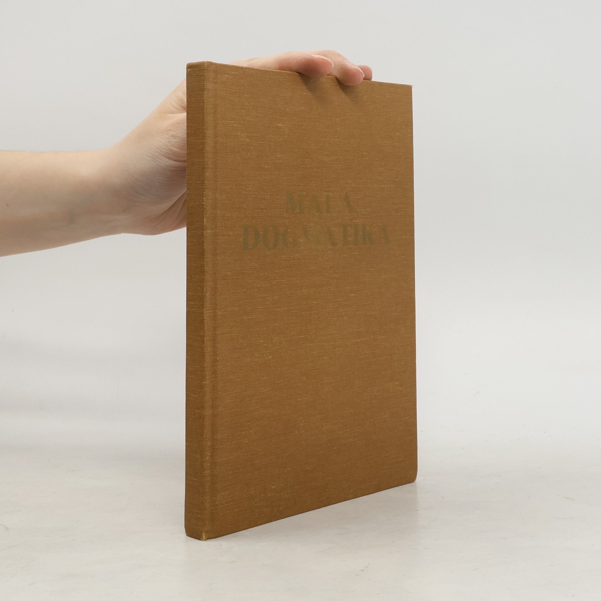 Autorenkollektiv Malá dogmatika