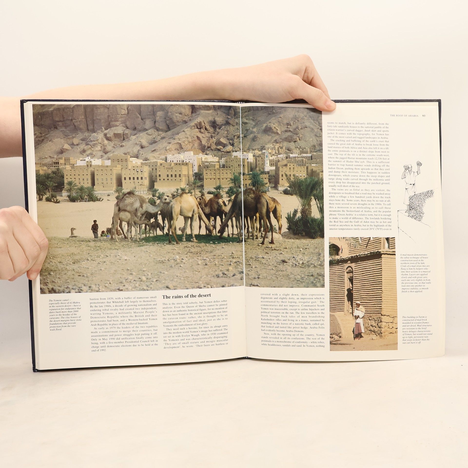 Various authors In Search of the Middle East