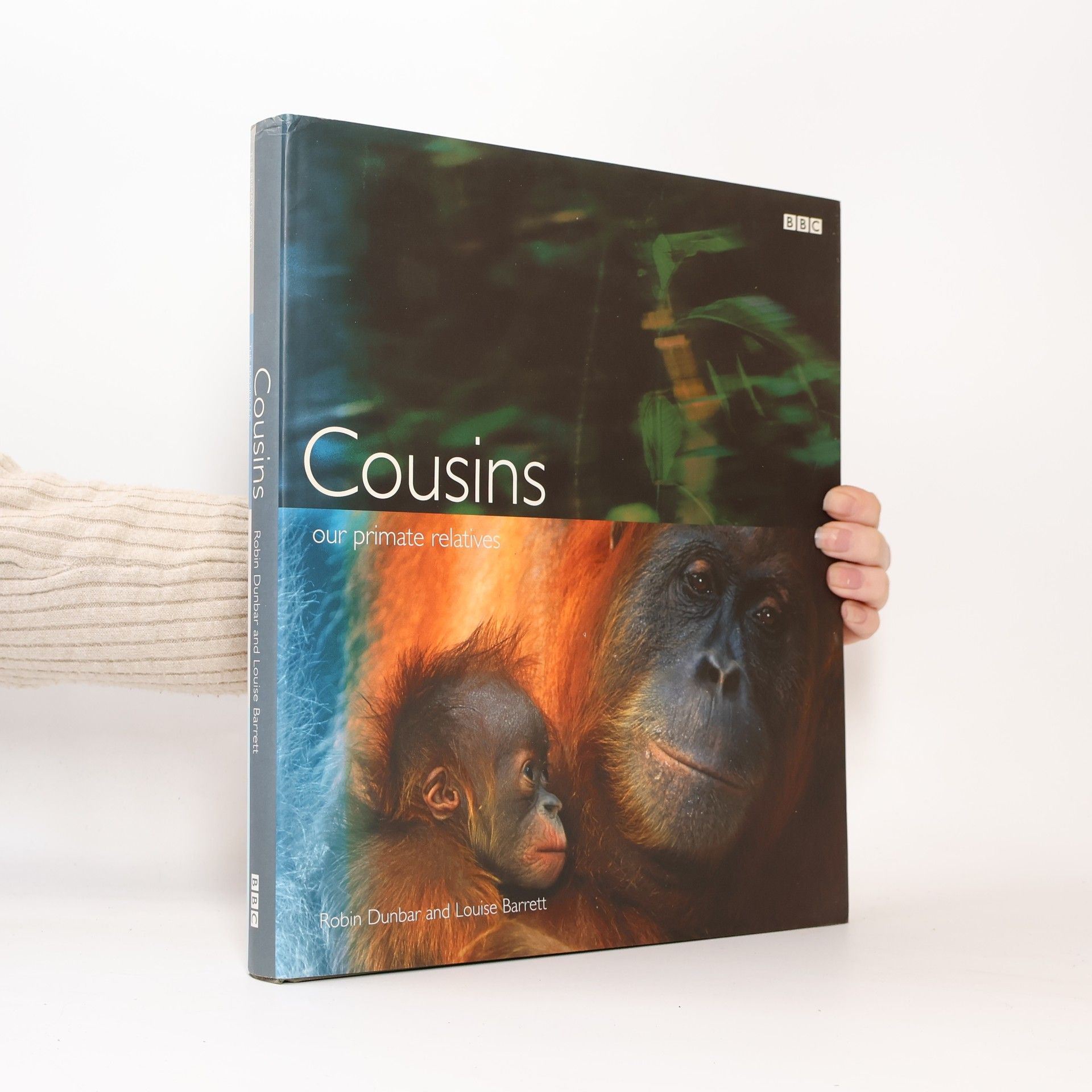 Louise Barrett Cousins