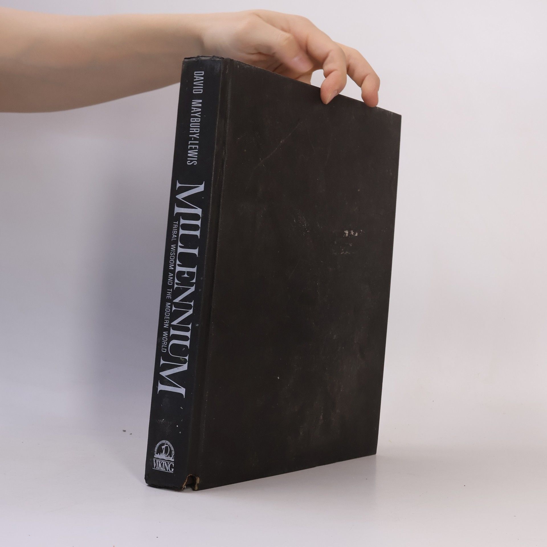 David Maybury-Lewis Millennium