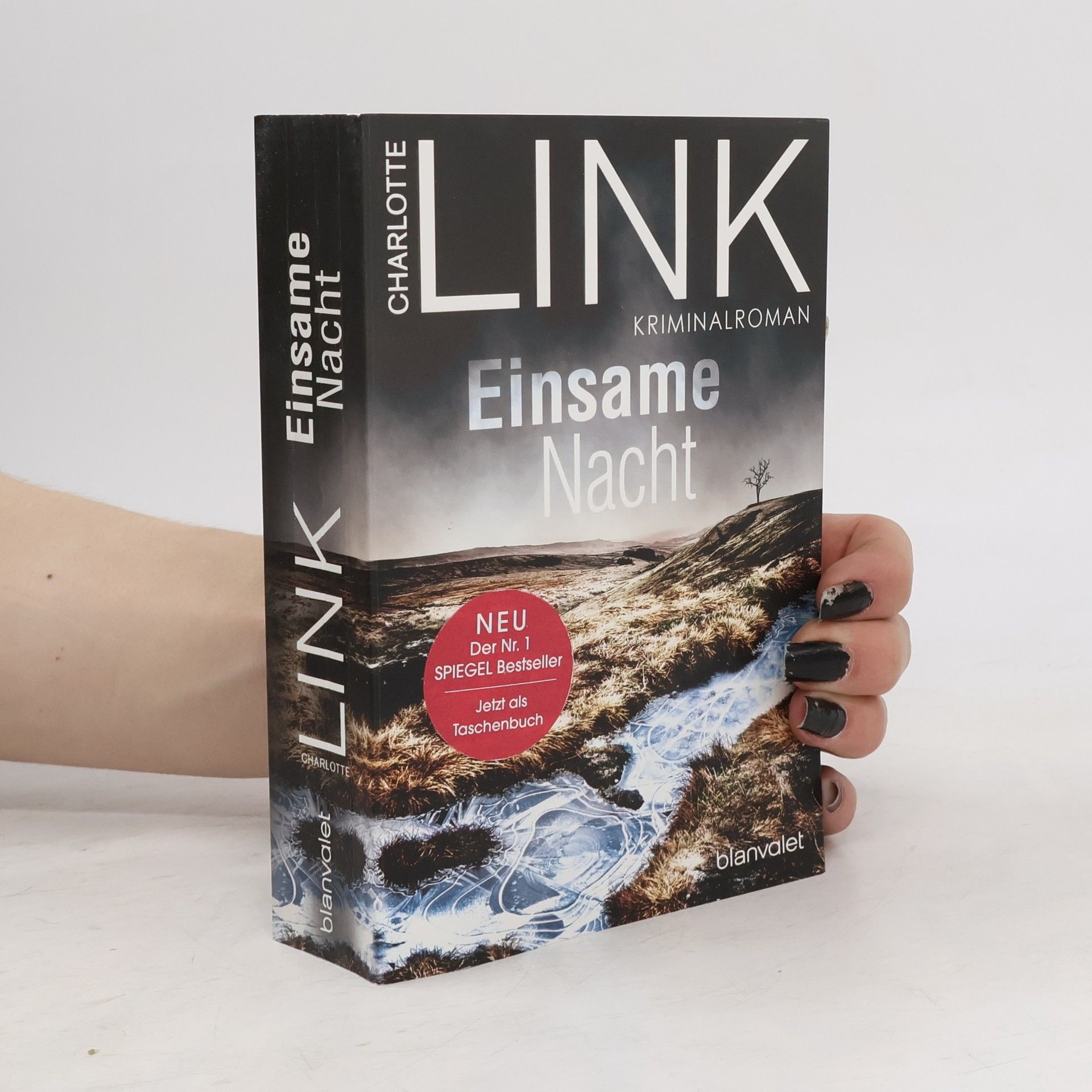 Charlotte Link Einsame Nacht