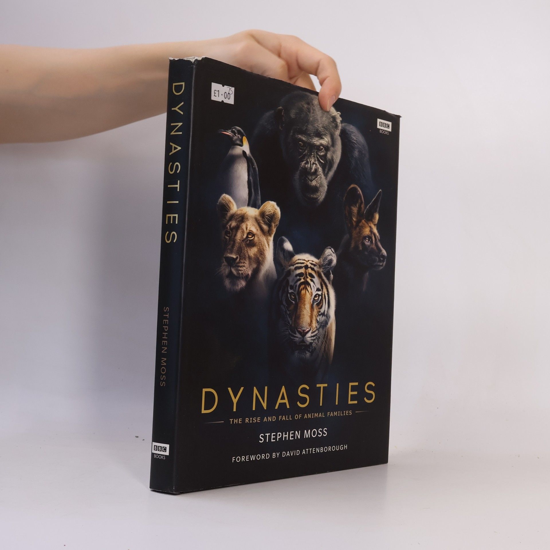 Dynasties
