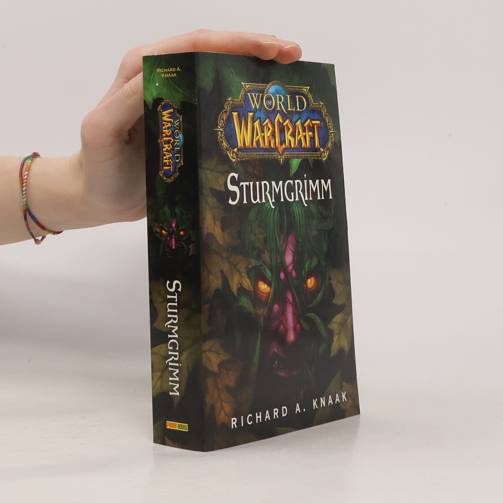 Richard A. Knaak World of Warcraft Bd. 7:Sturmgrimm