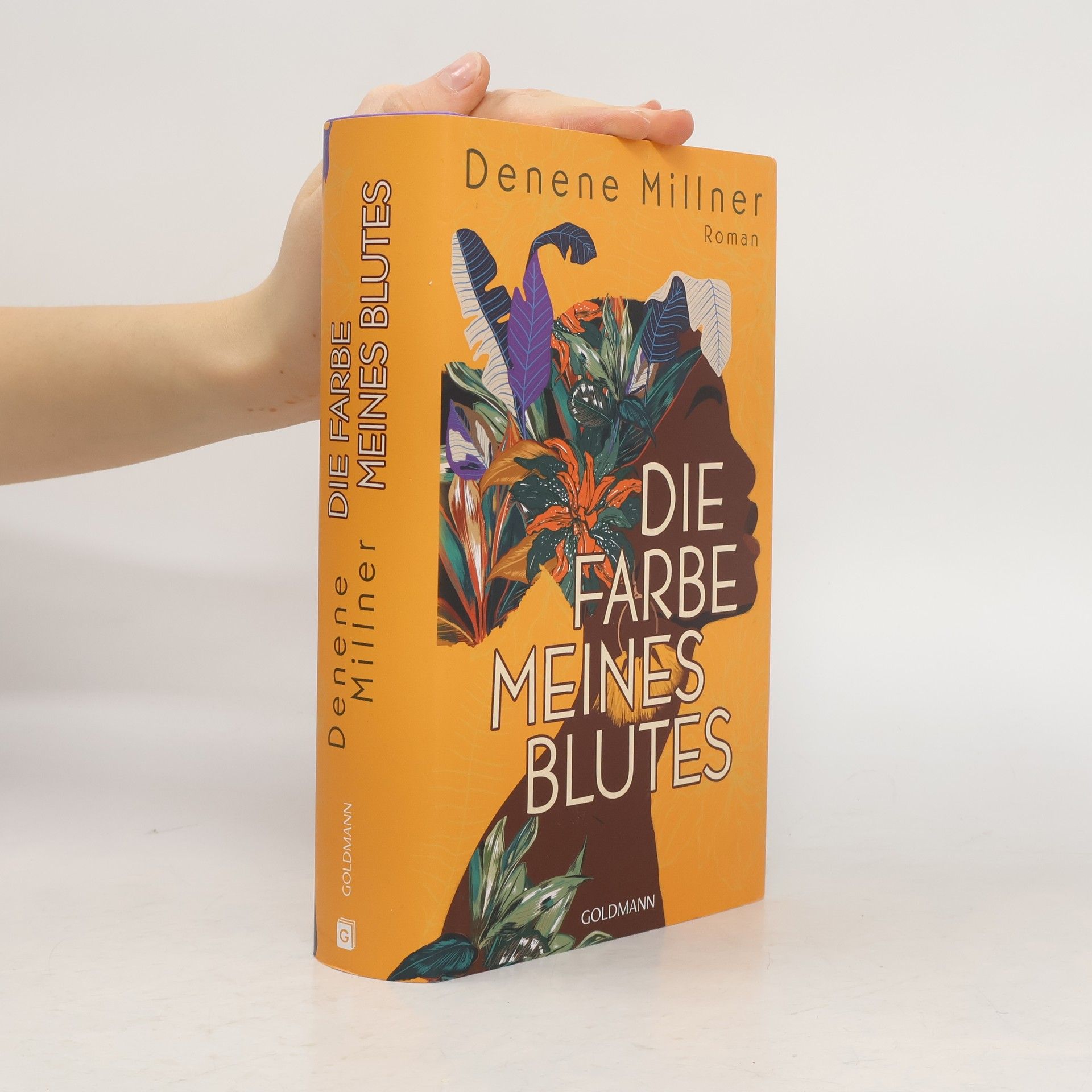 Denene Millner Die Farbe meines Blutes