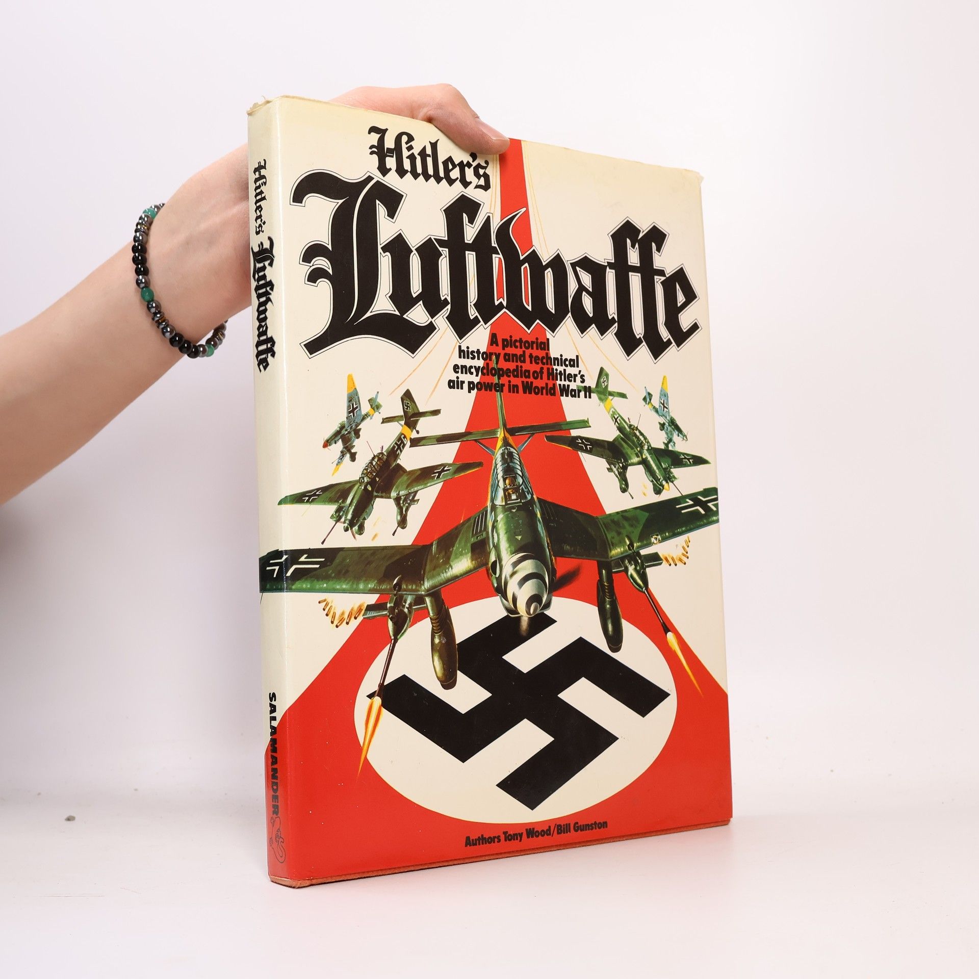 Hitler's Luftwaffe