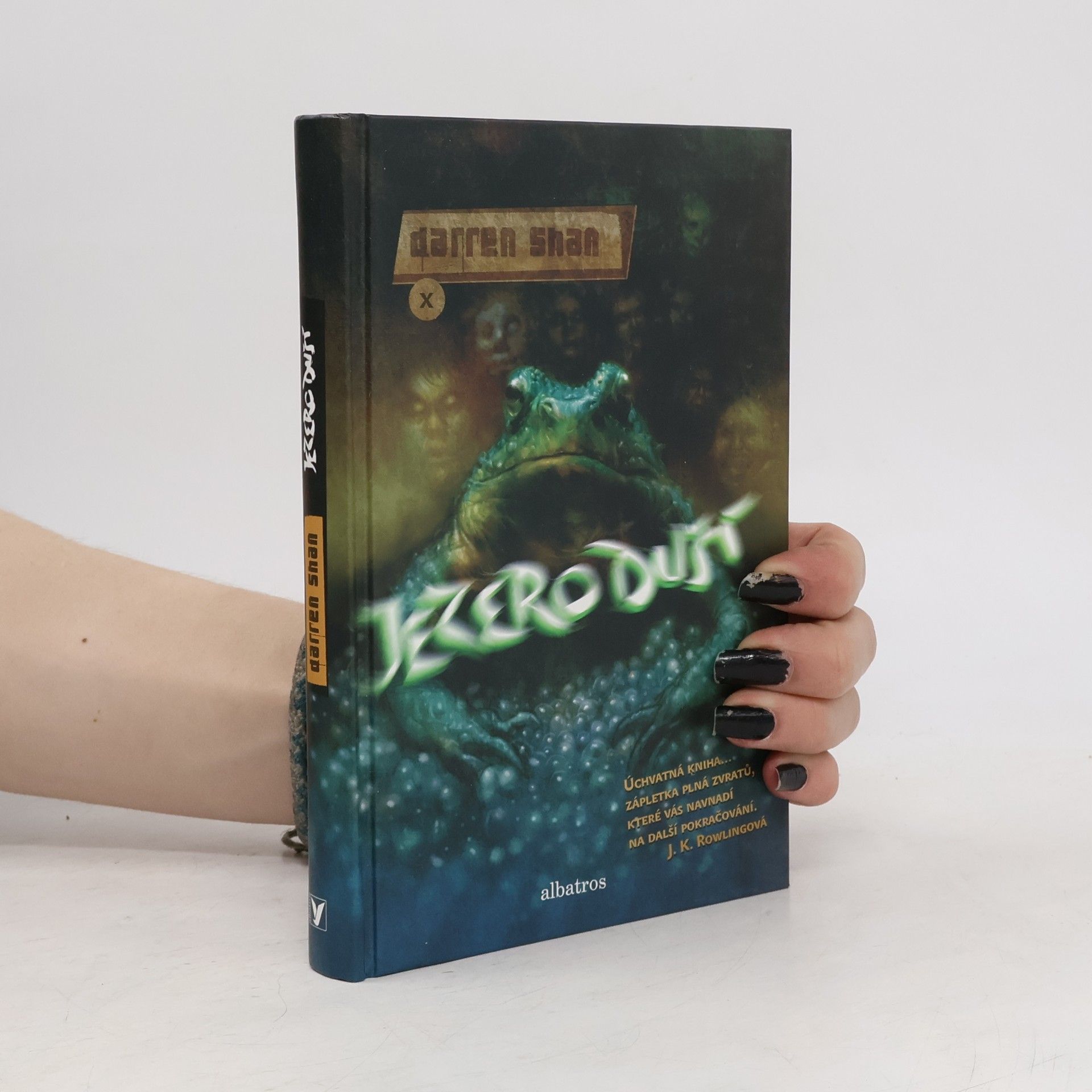 Darren O'Shaughnessey Jezero duší