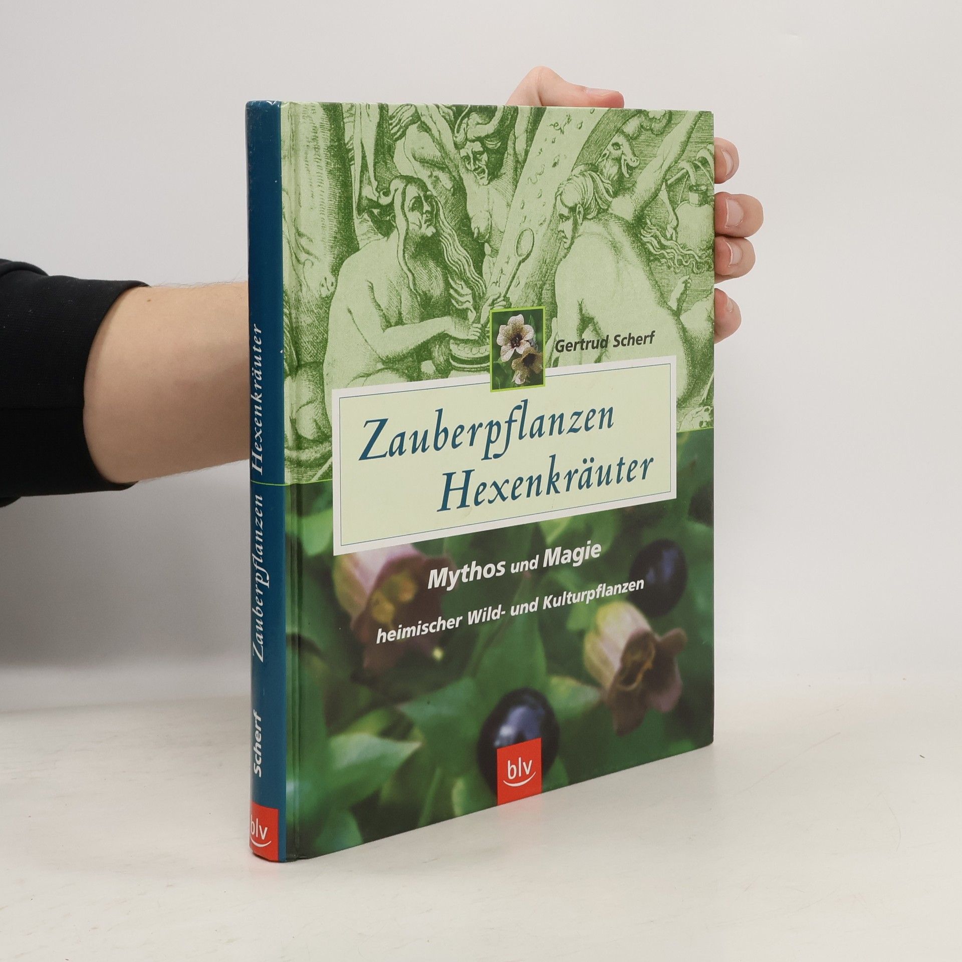 Gertrud Scherf Zauberpflanzen - Hexenkräuter