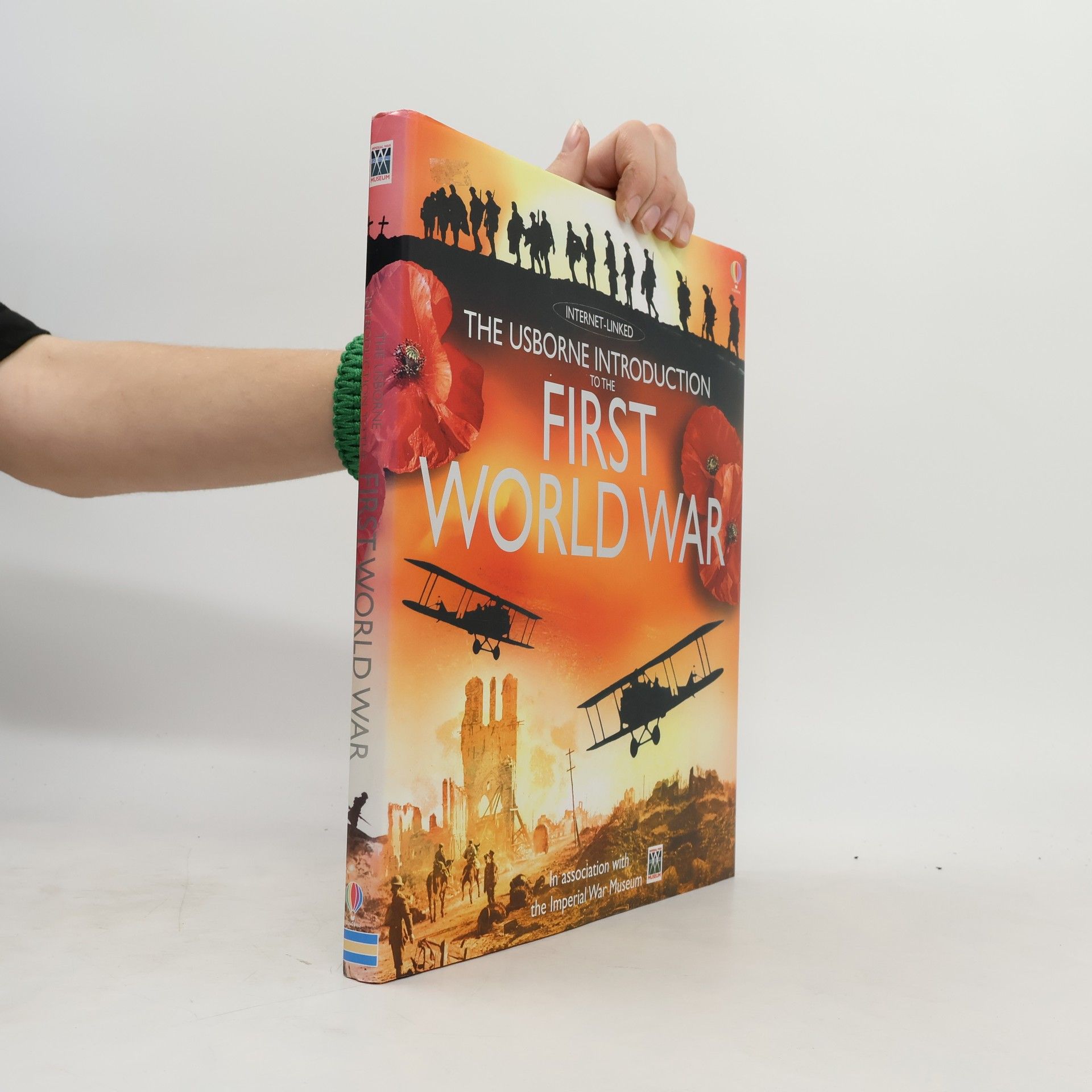 Ruth Brocklehurst The Usborne Introduction to the First World War