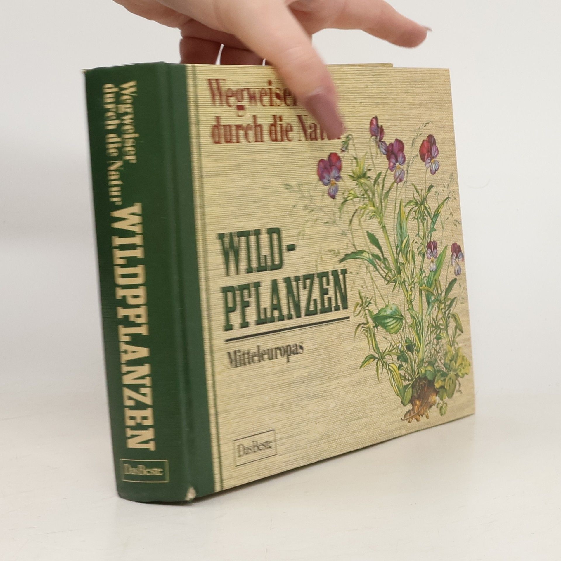 Autores varios Wildpflanzen Mitteleuropas