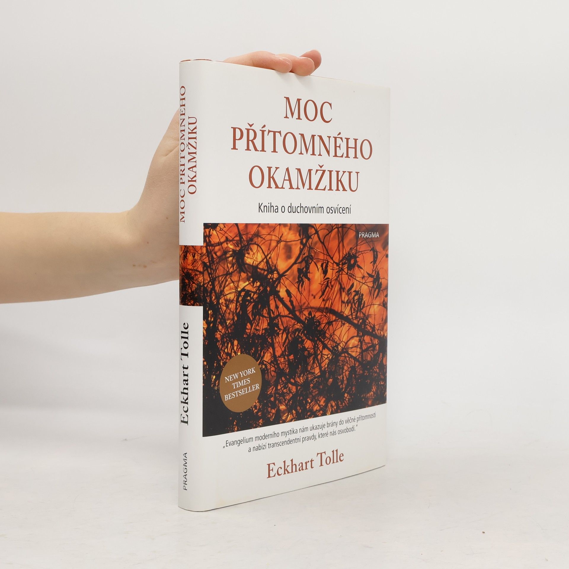 Eckhart Tolle Moc přítomného okamžiku