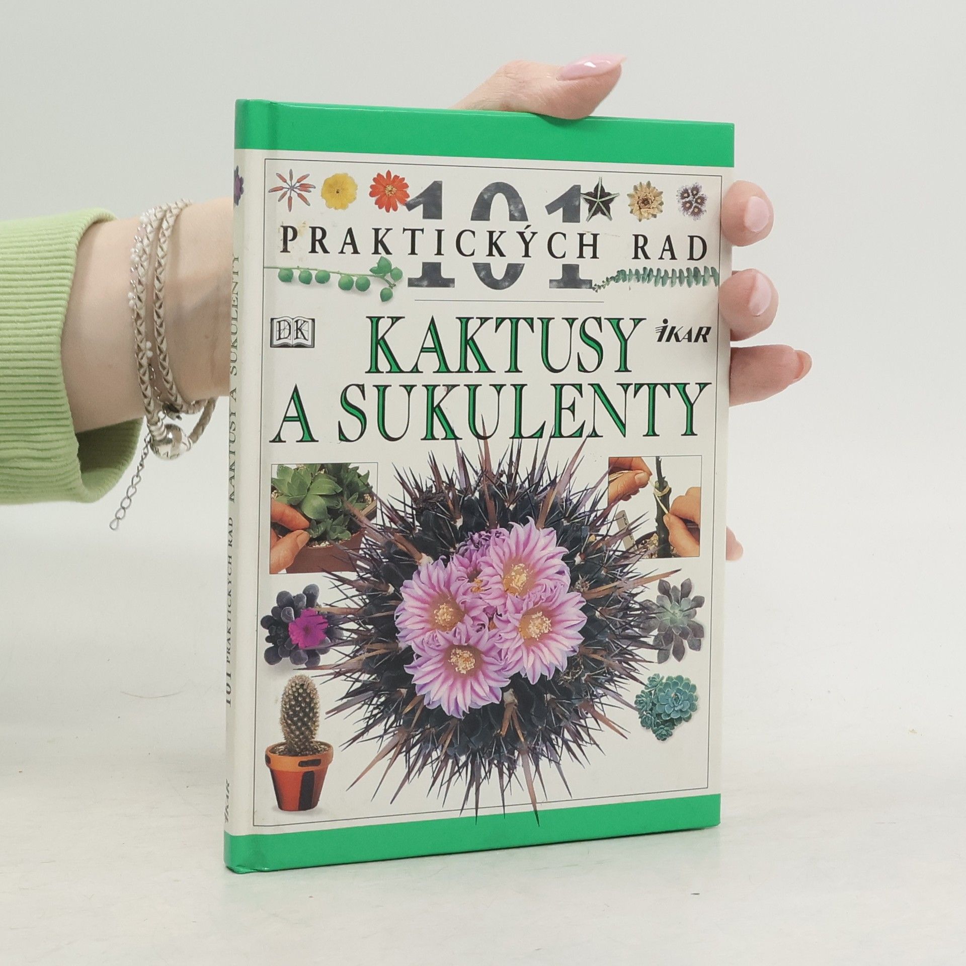 Terry Hewitt Kaktusy a sukulenty