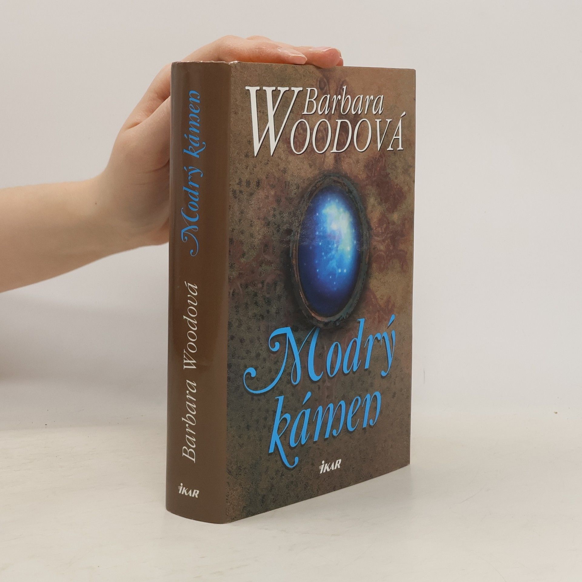 Barbara Wood Modrý kámen