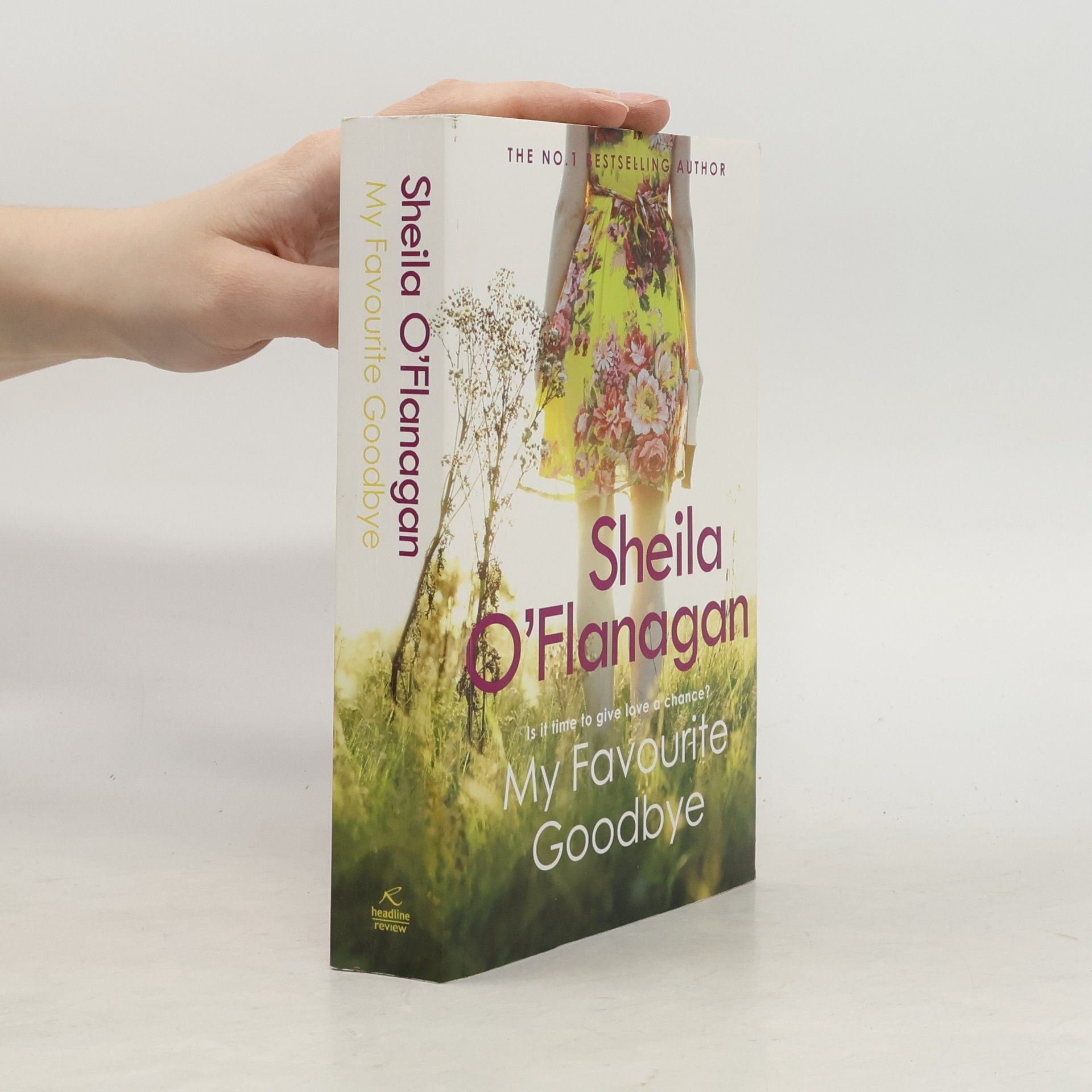 Sheila O’Flanagan My Favourite Goodbye