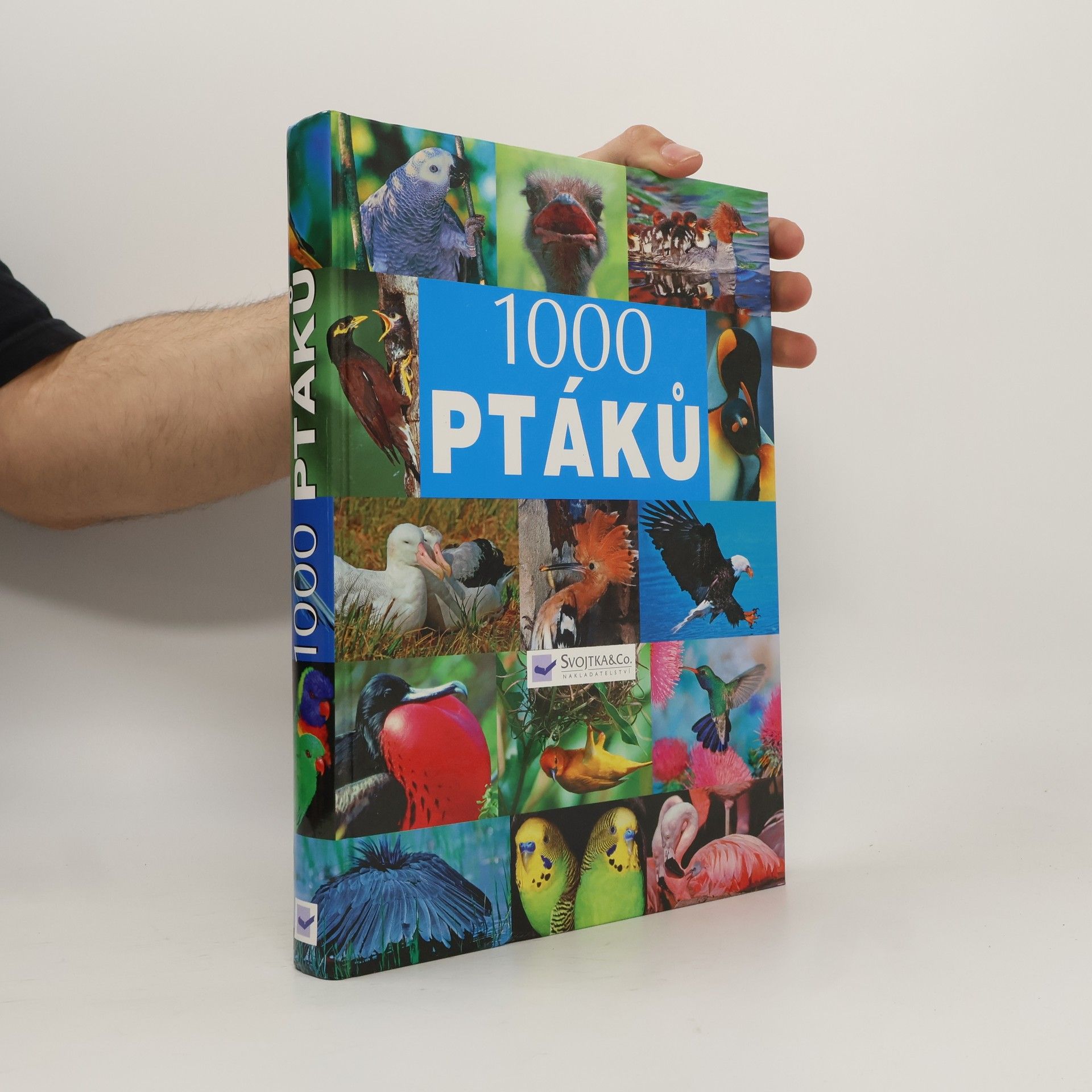AA.VV. 1000 ptáků