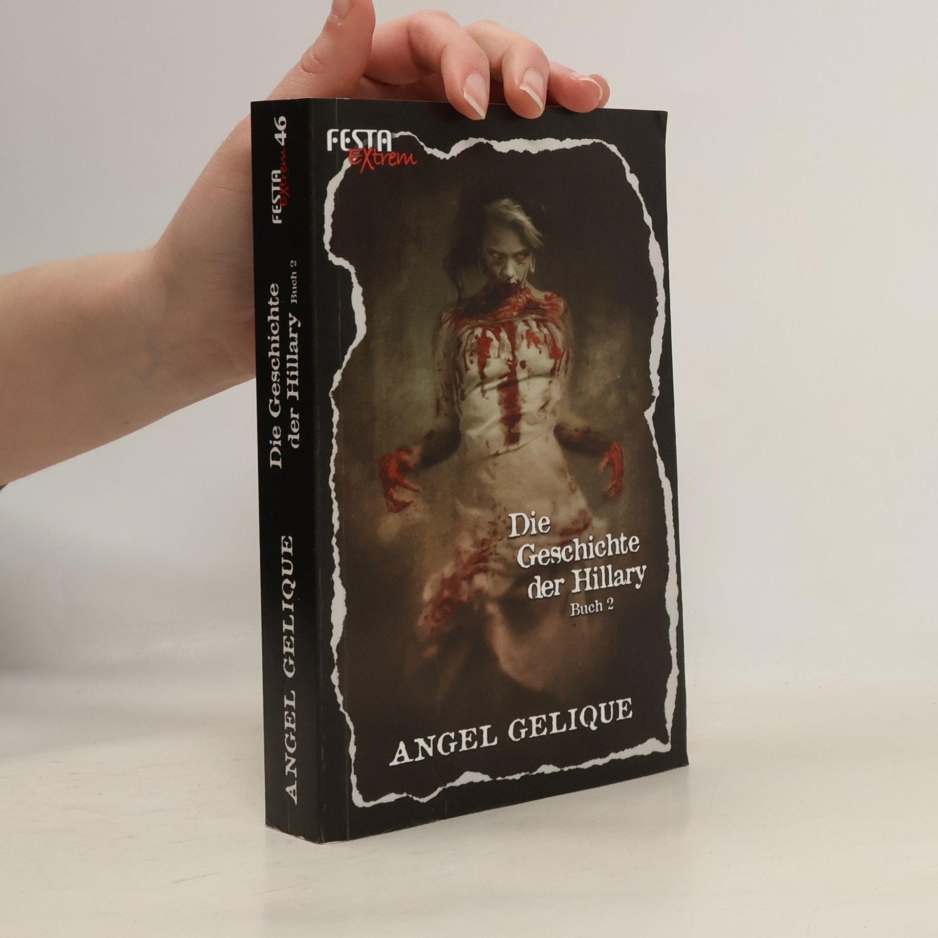 Die Geschichte der Hillary 2