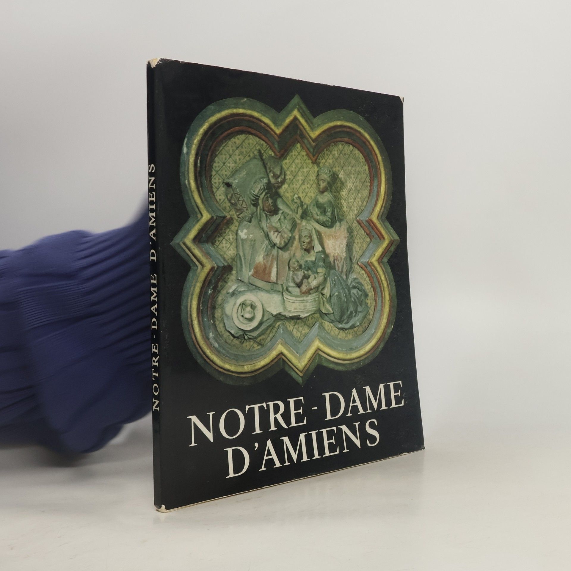 Autorenkollektiv Notre-Dame d'Amiens