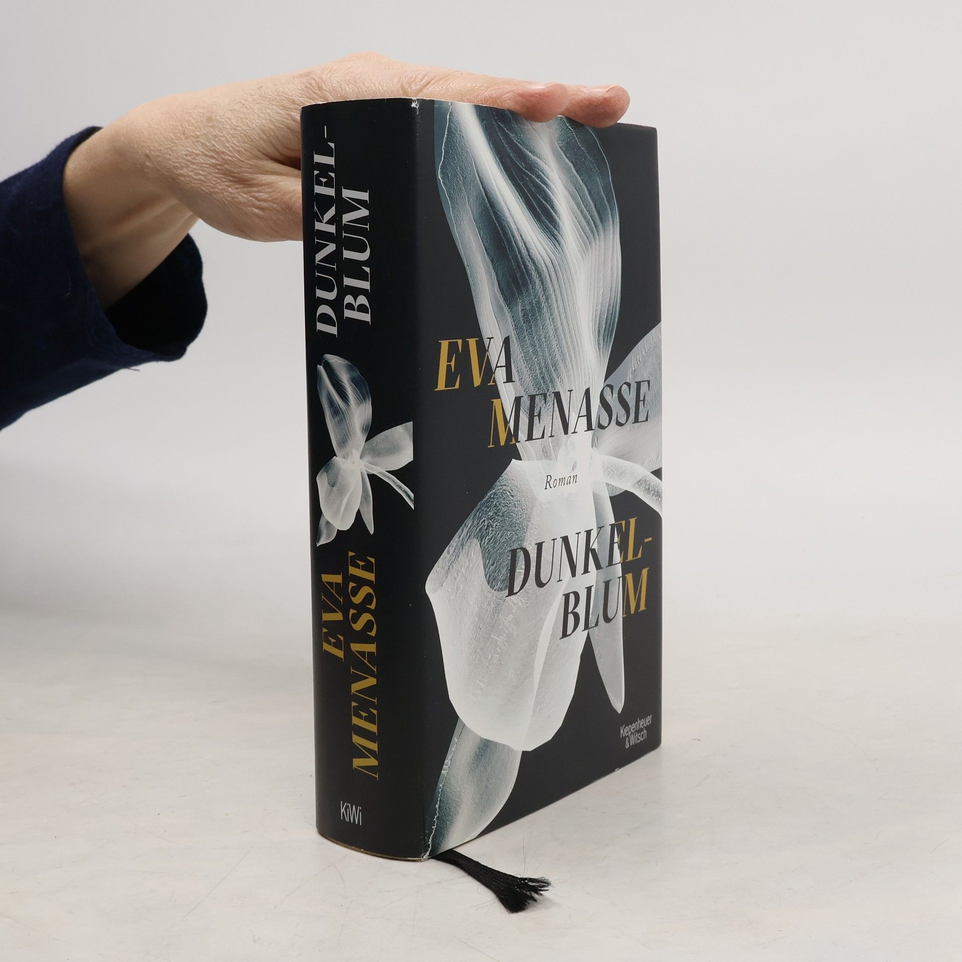 Eva Menasse Dunkelblum