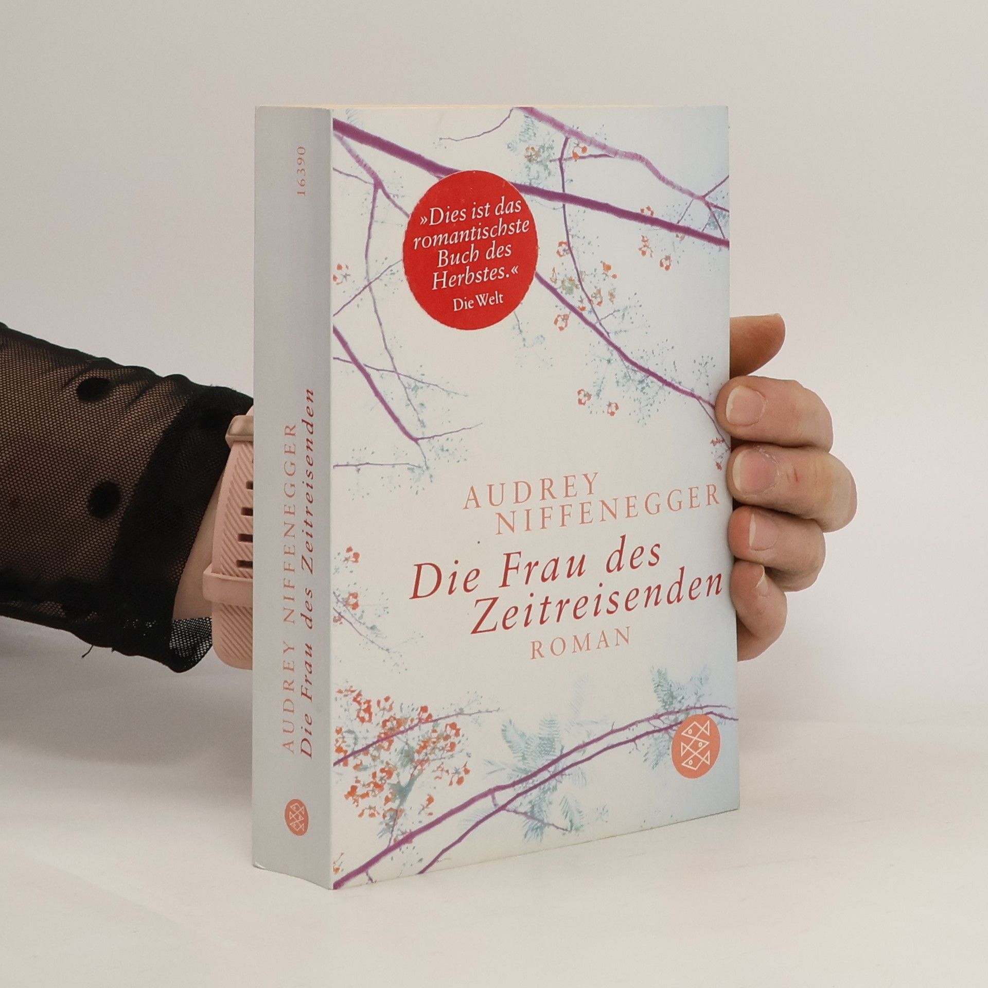 Audrey Niffenegger Die Frau des Zeitreisenden