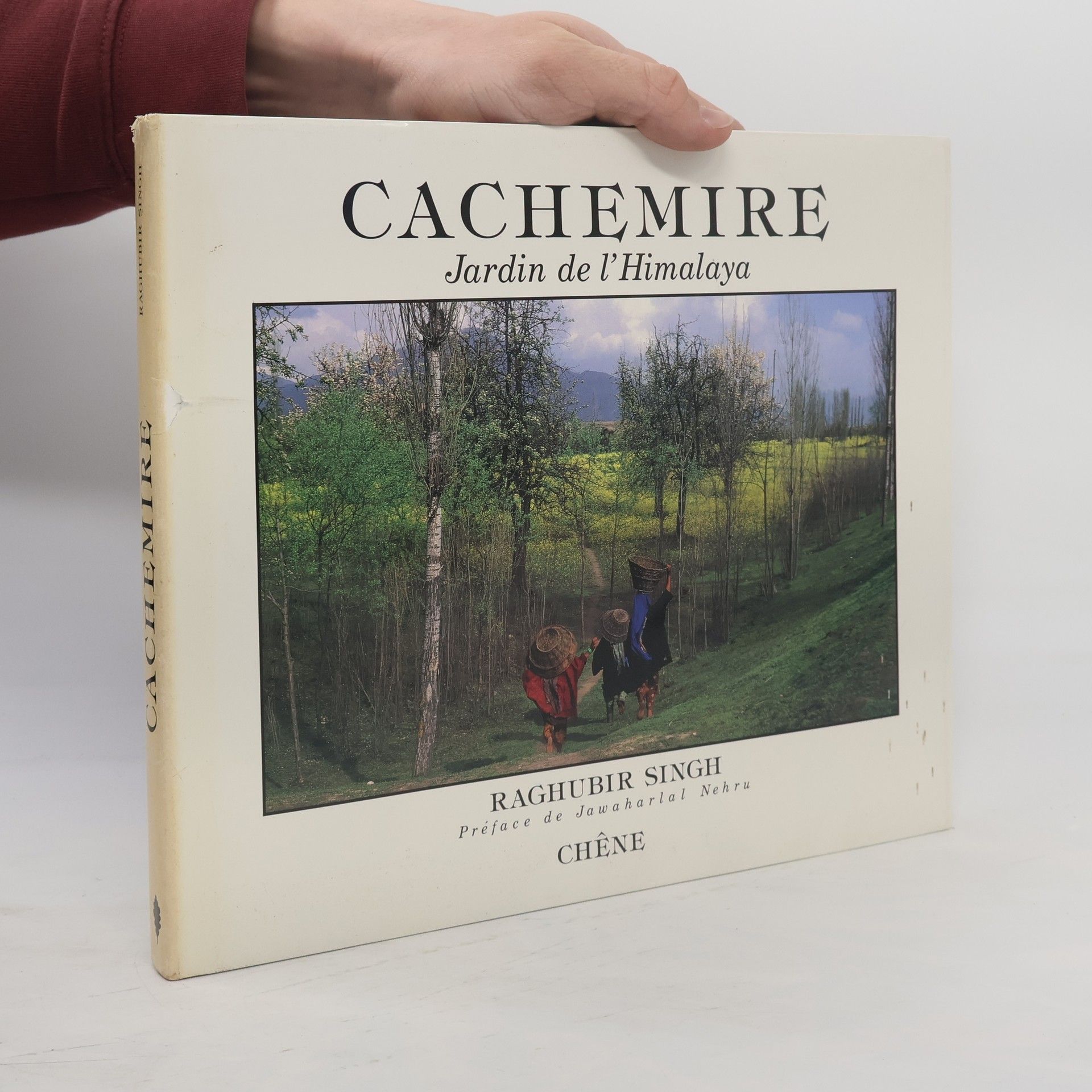 Raghubir Singh Cachemire jardin de l'Himalaya