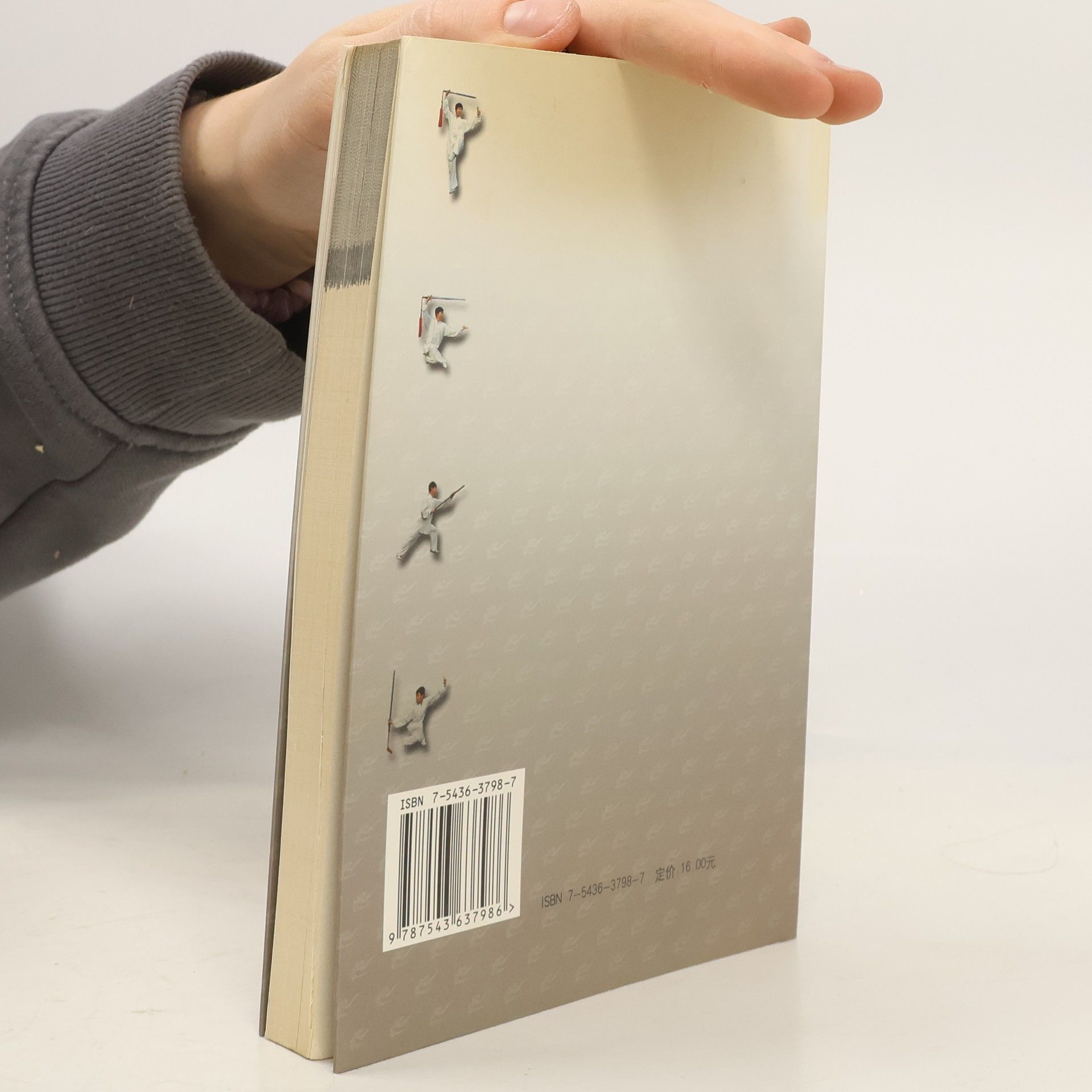 Yu Changfu 太极传统器械