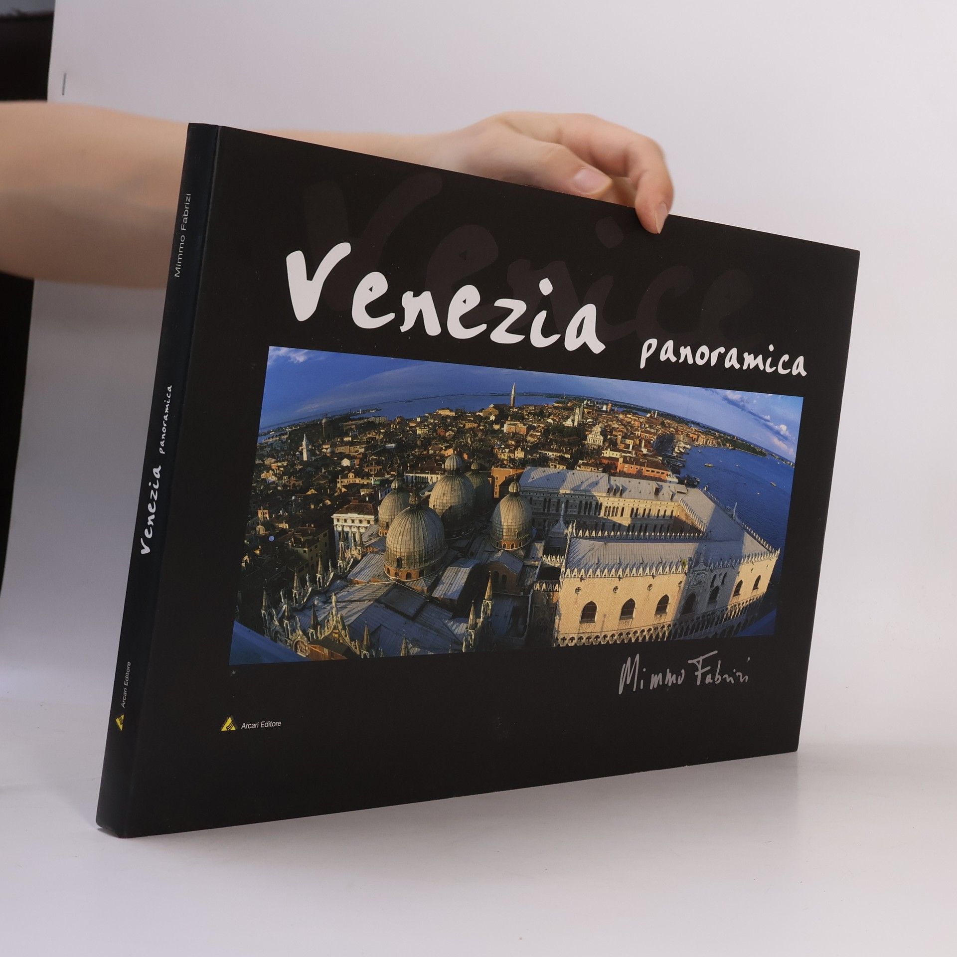 Mimmo Fabrizi Venezia panoramica