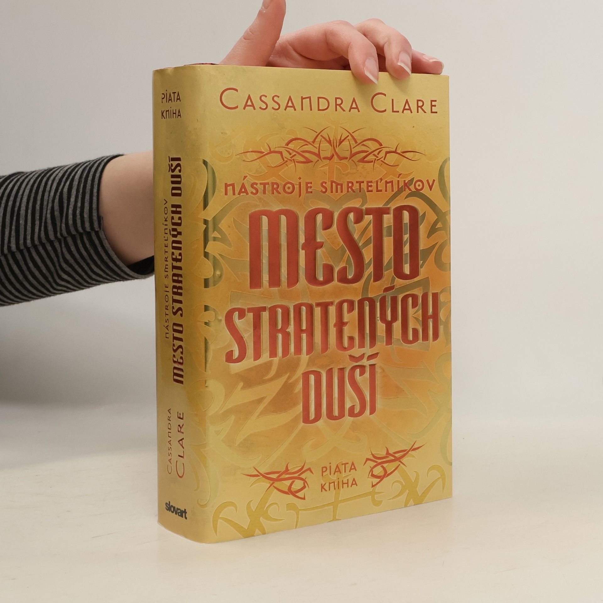 Cassandra Clare Mesto stratených duší