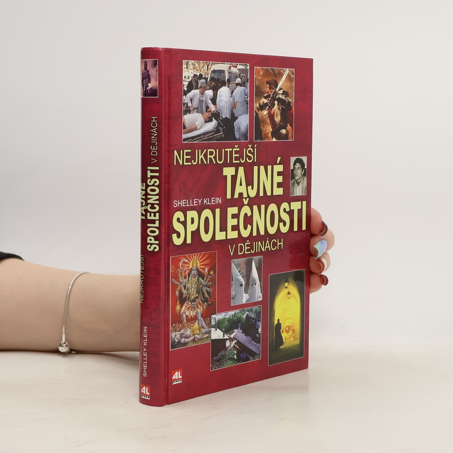 Shelley Klein Nejkrutější tajné společnosti v dějinách