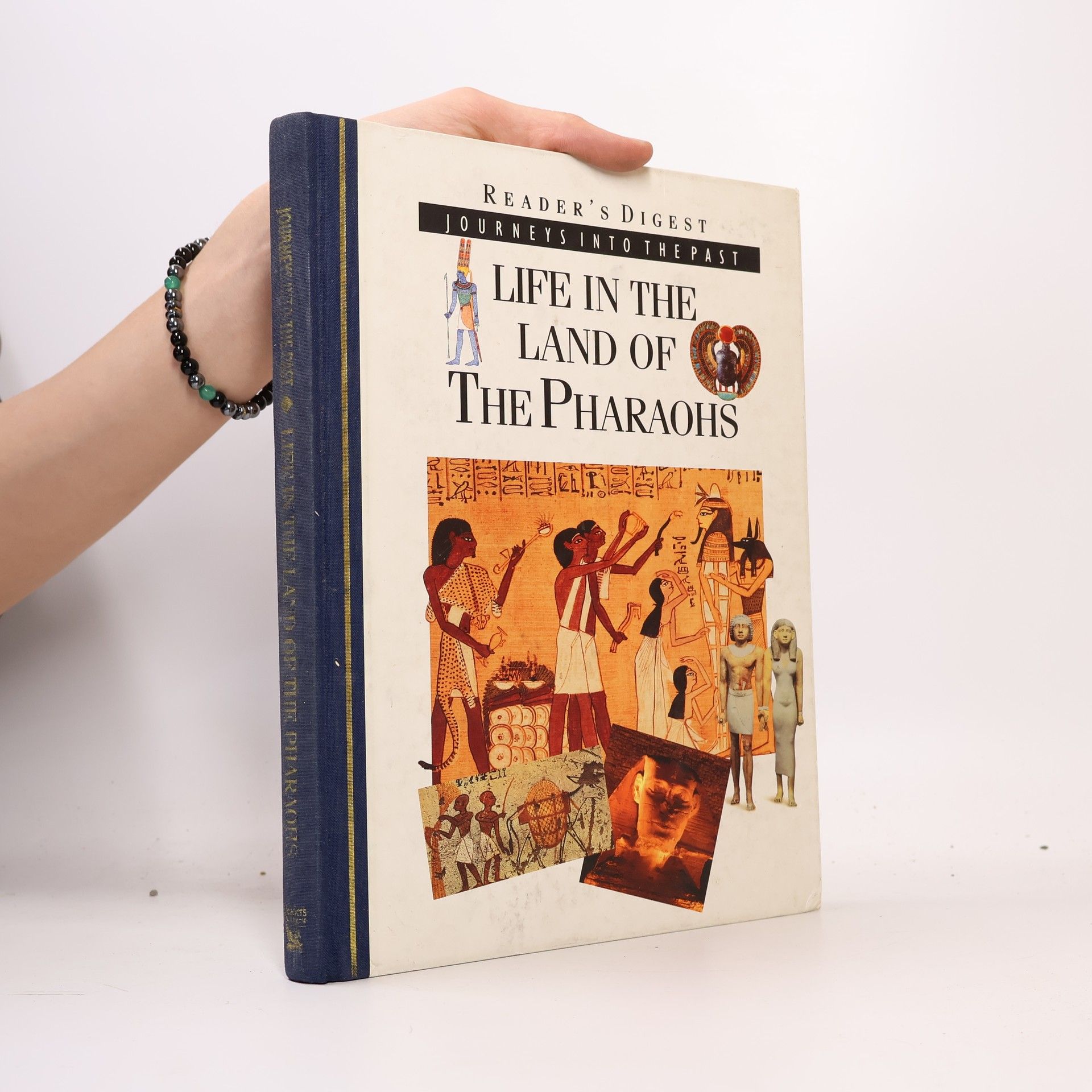 Tim Healey Life in the Land of the Pharaohs