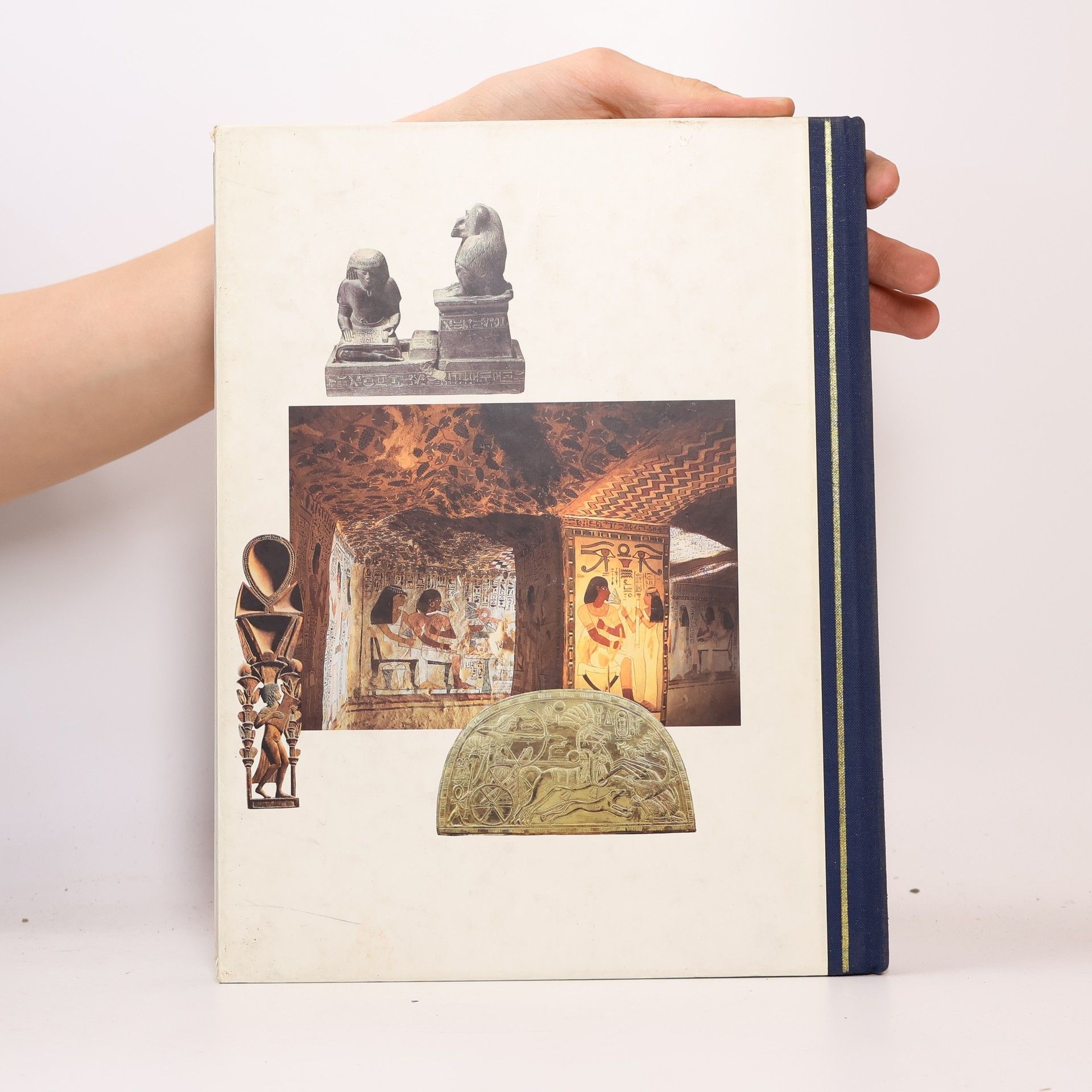 Tim Healey Life in the Land of the Pharaohs