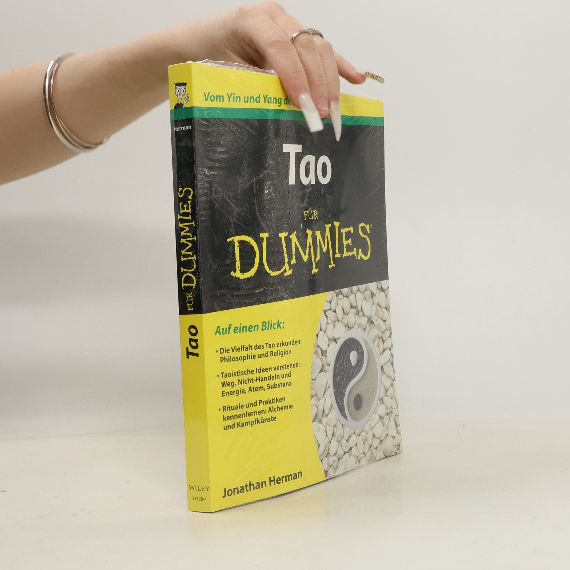 Jonathan Herman Tao für Dummies